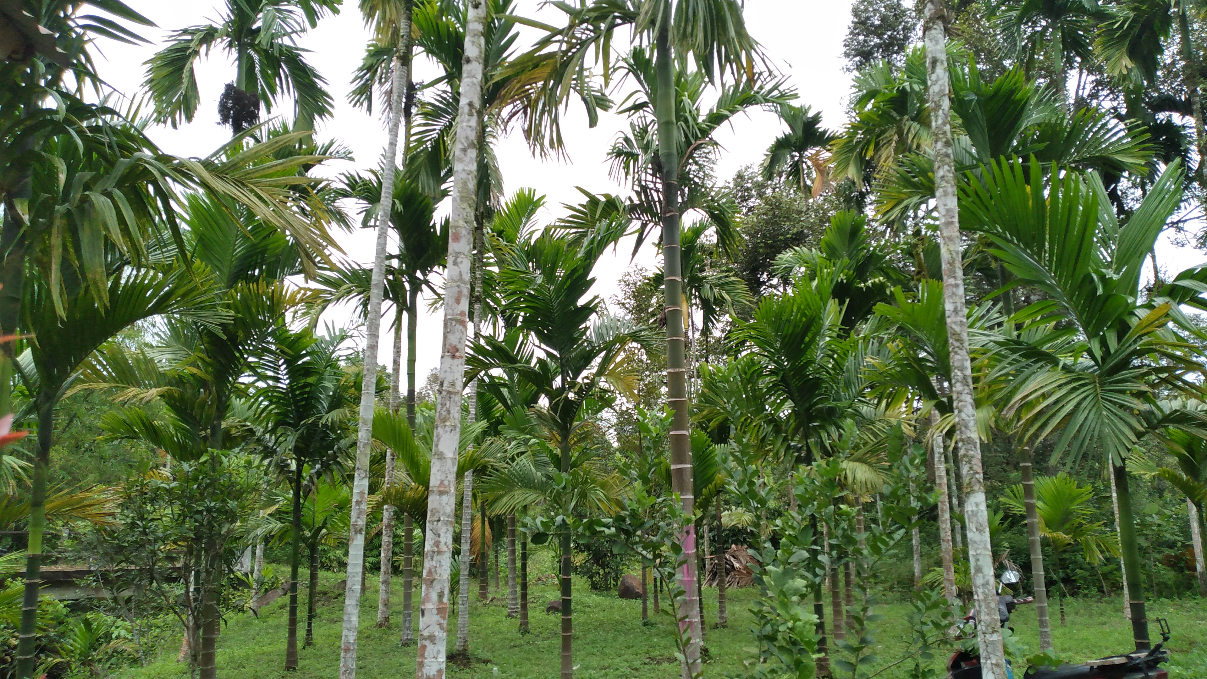 IMG-20221016-WA0007.jpeg