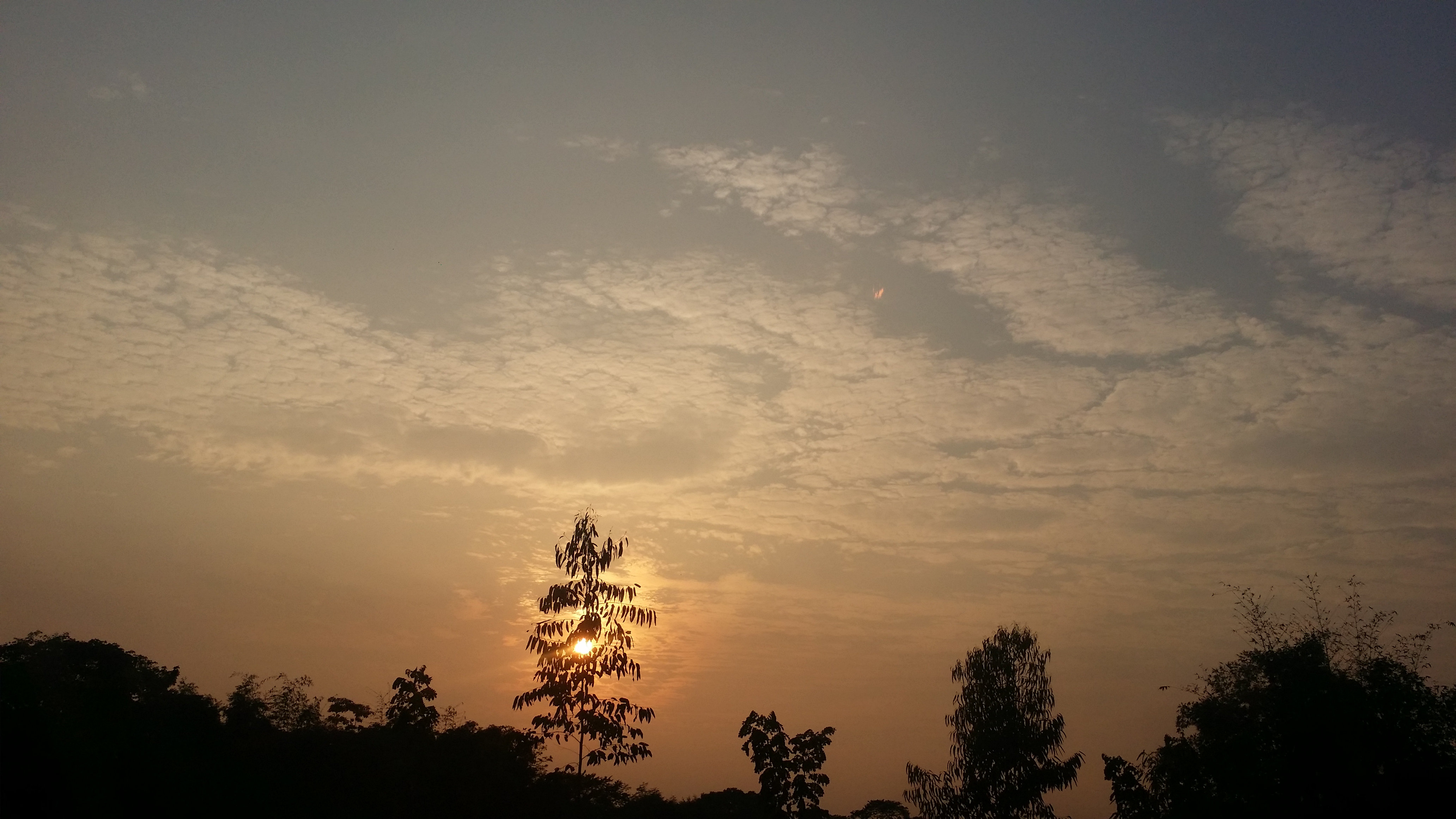 20191101_163850.jpg