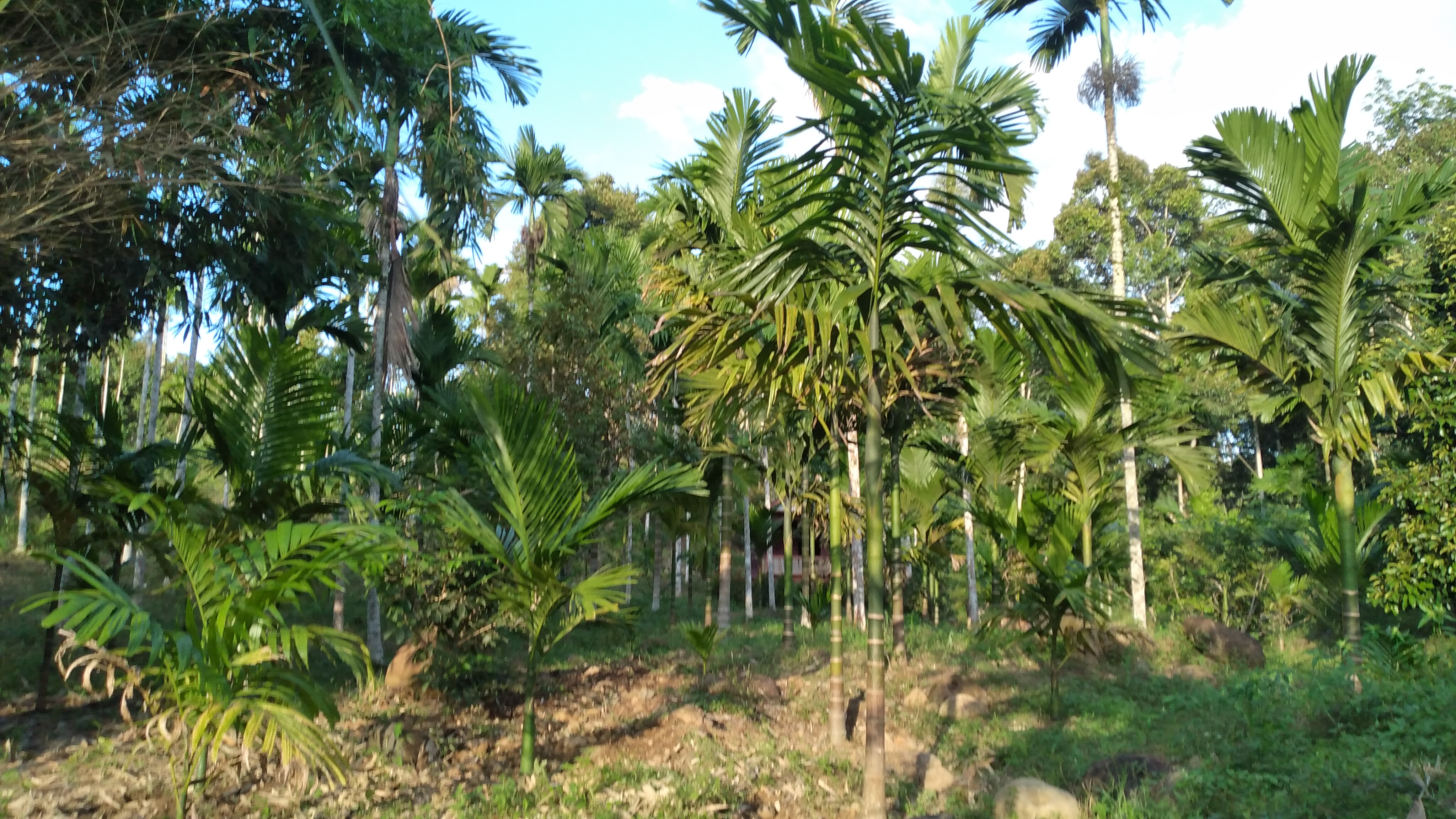 20220515_173130.jpg