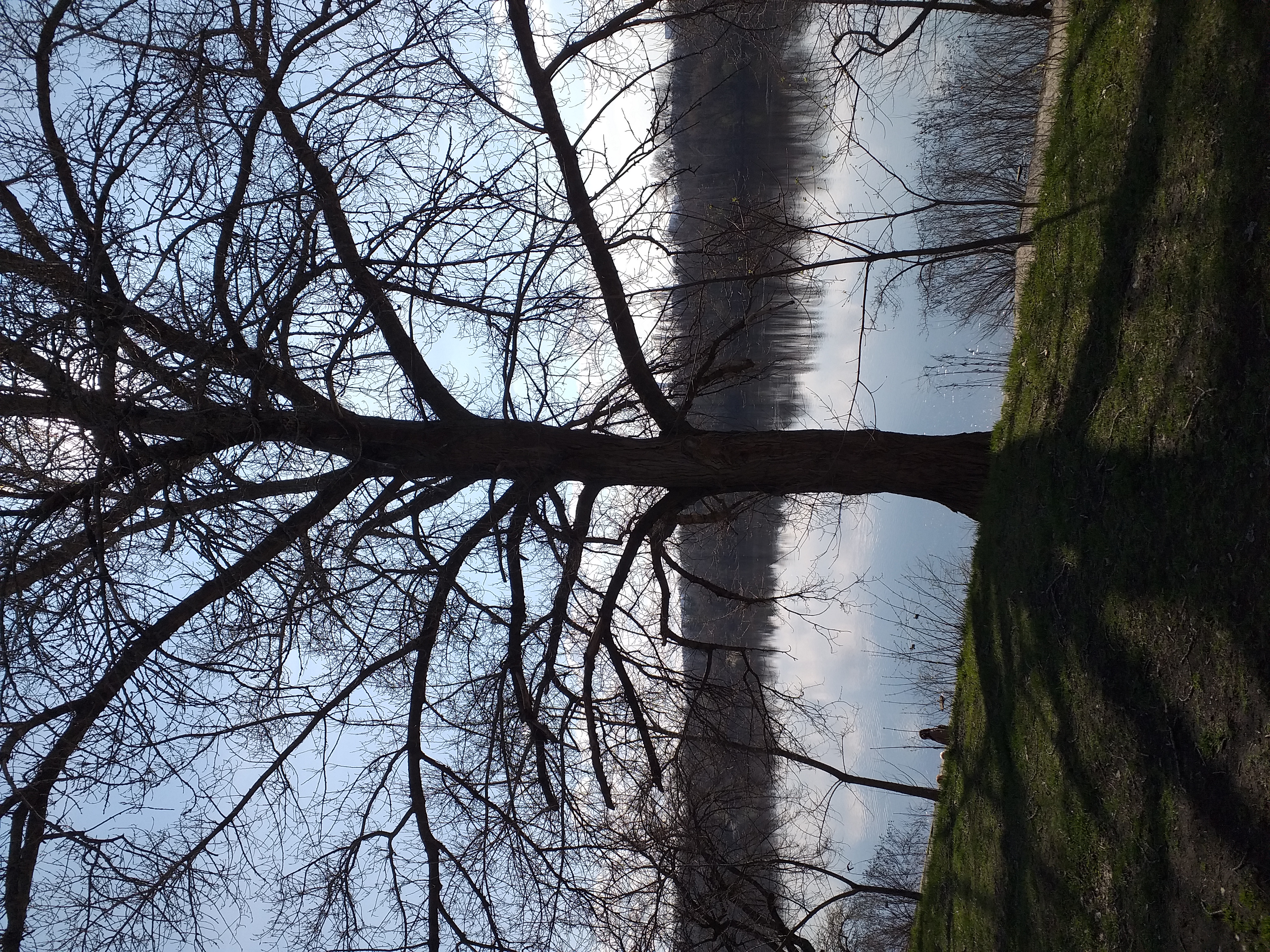 20230407_155314.jpg