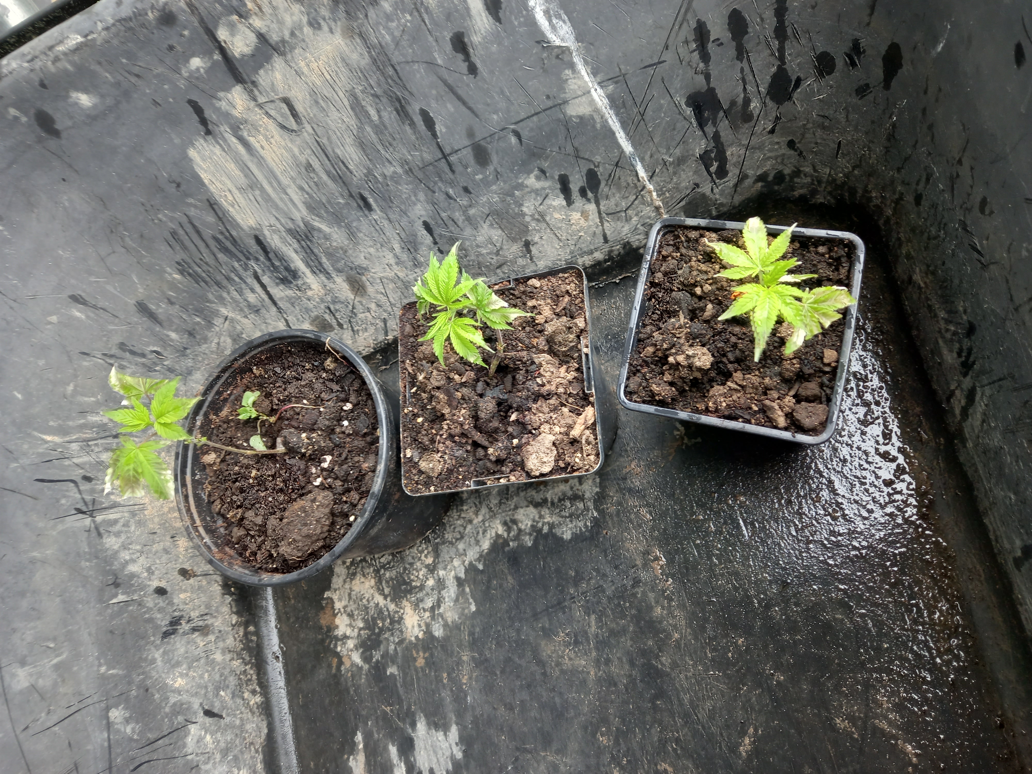 20221111_120723 (1).jpg