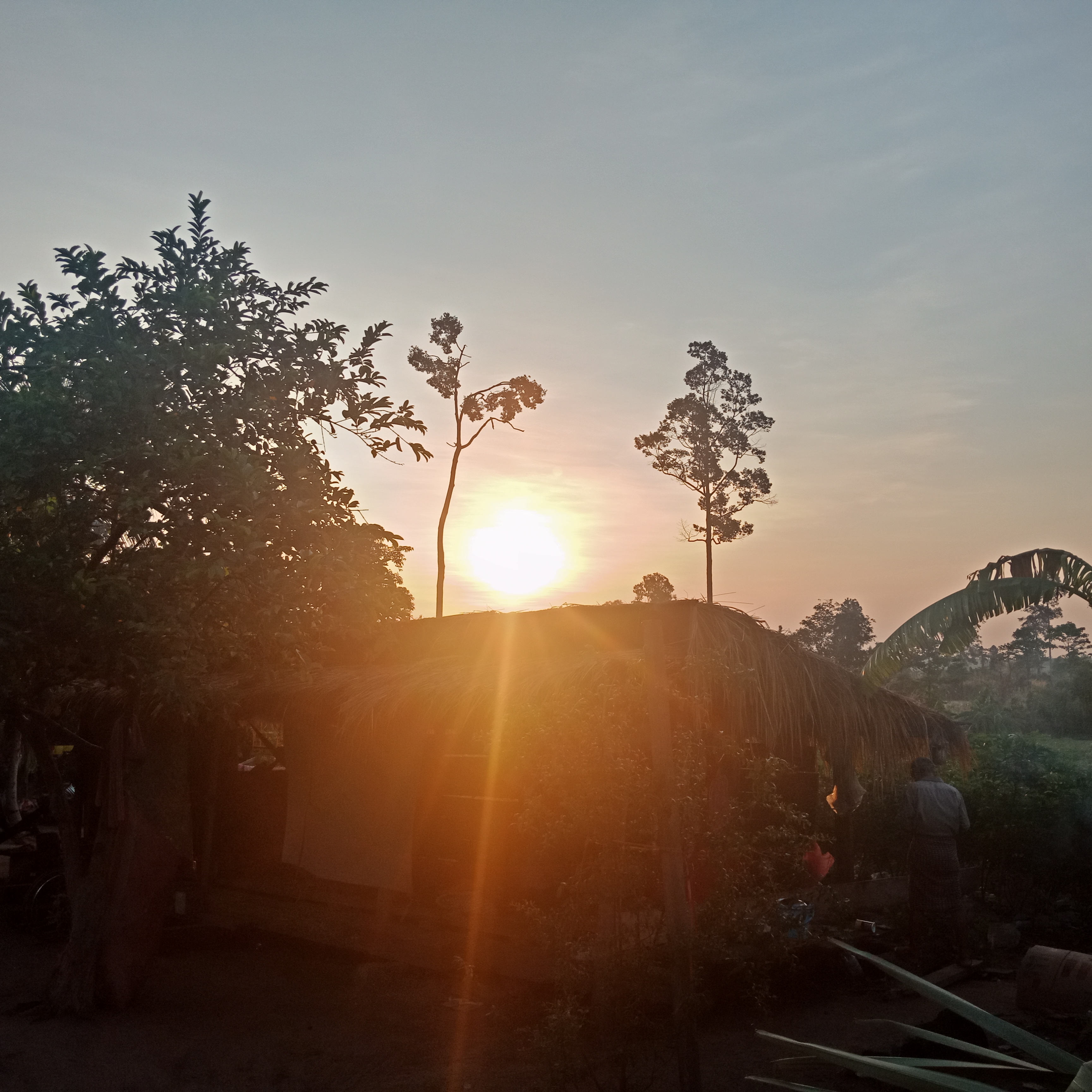 IMG20190502060517.jpg