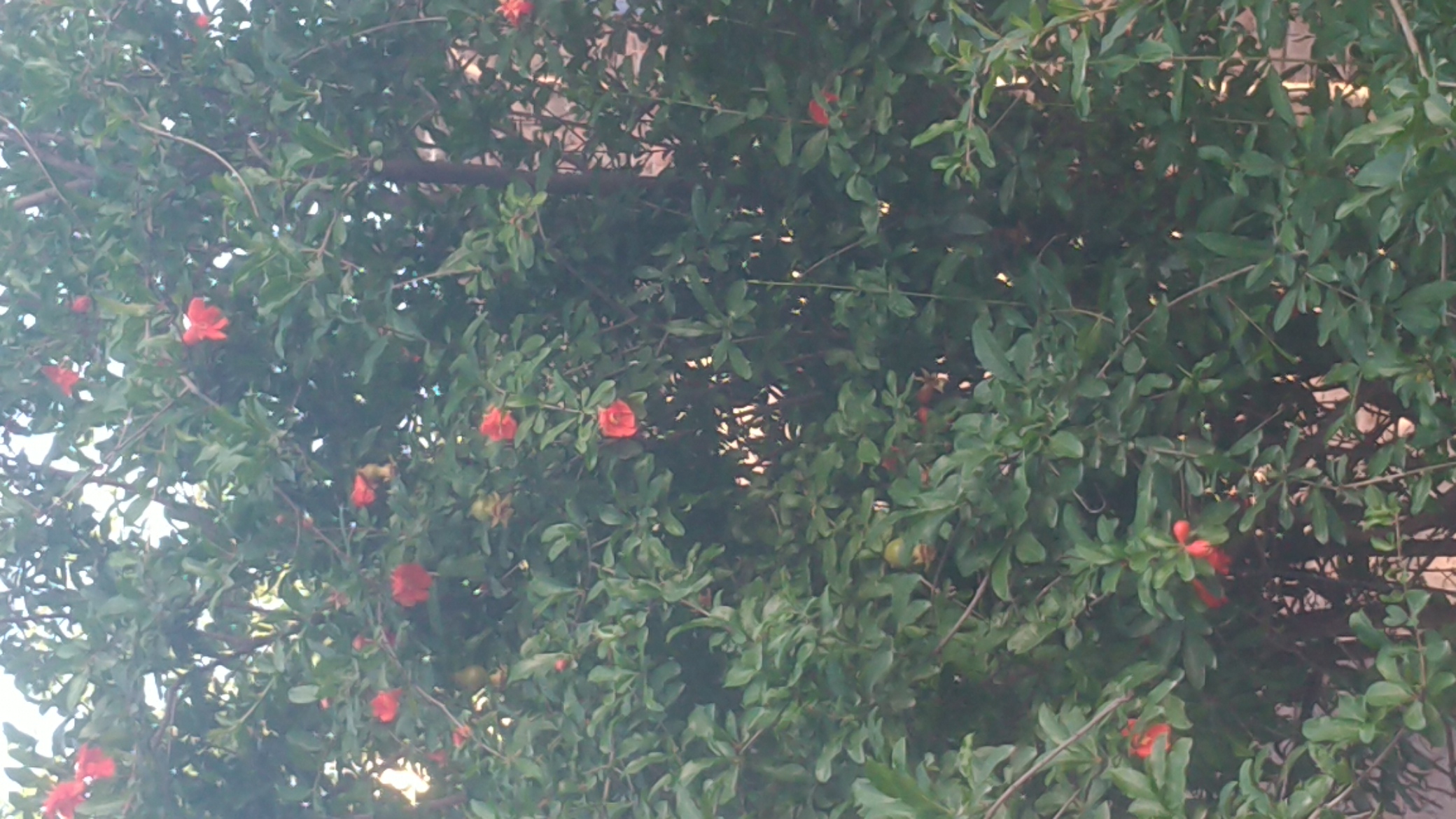 P_20210409_172559.jpg