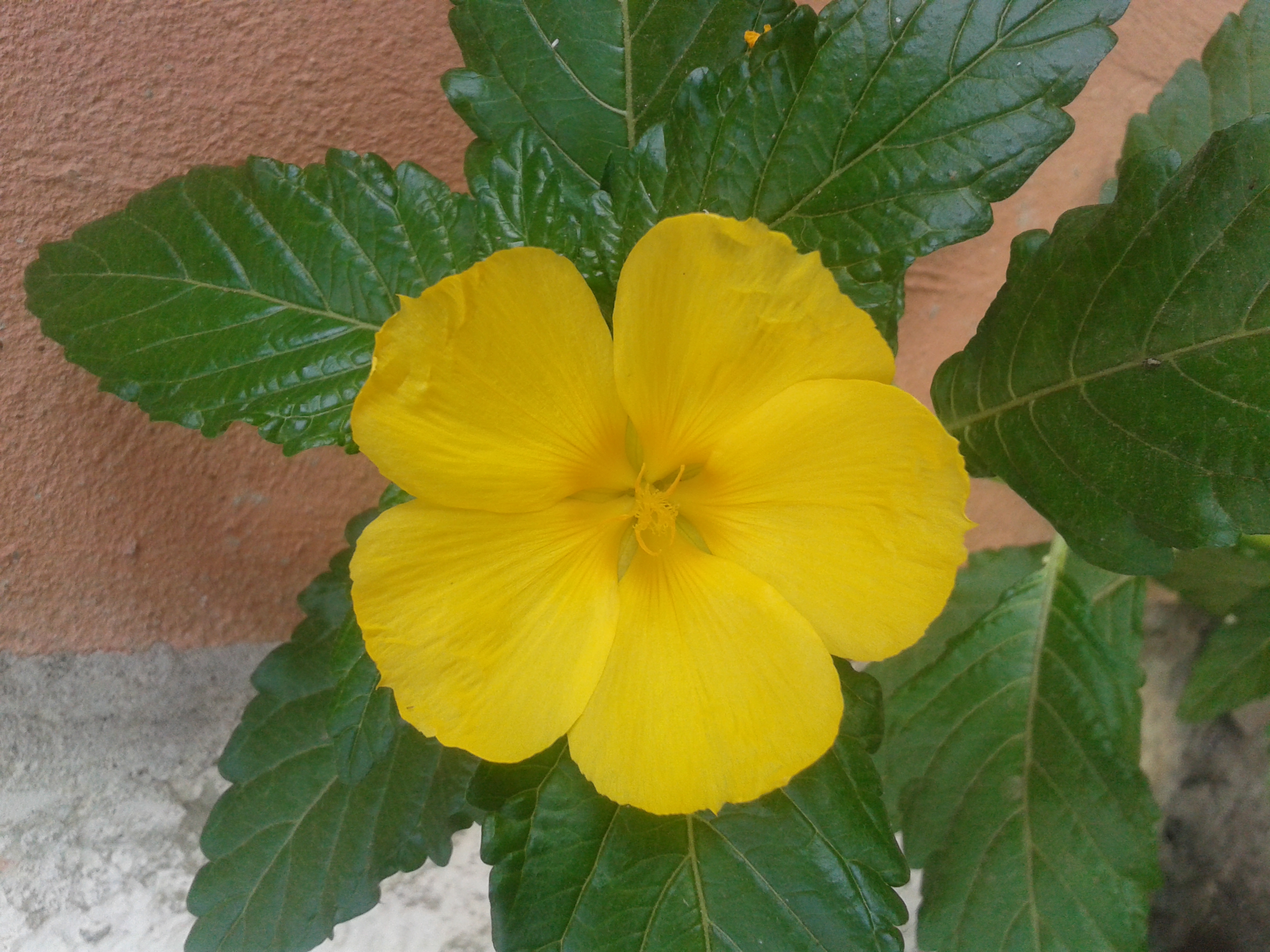 20190419_075529.jpg
