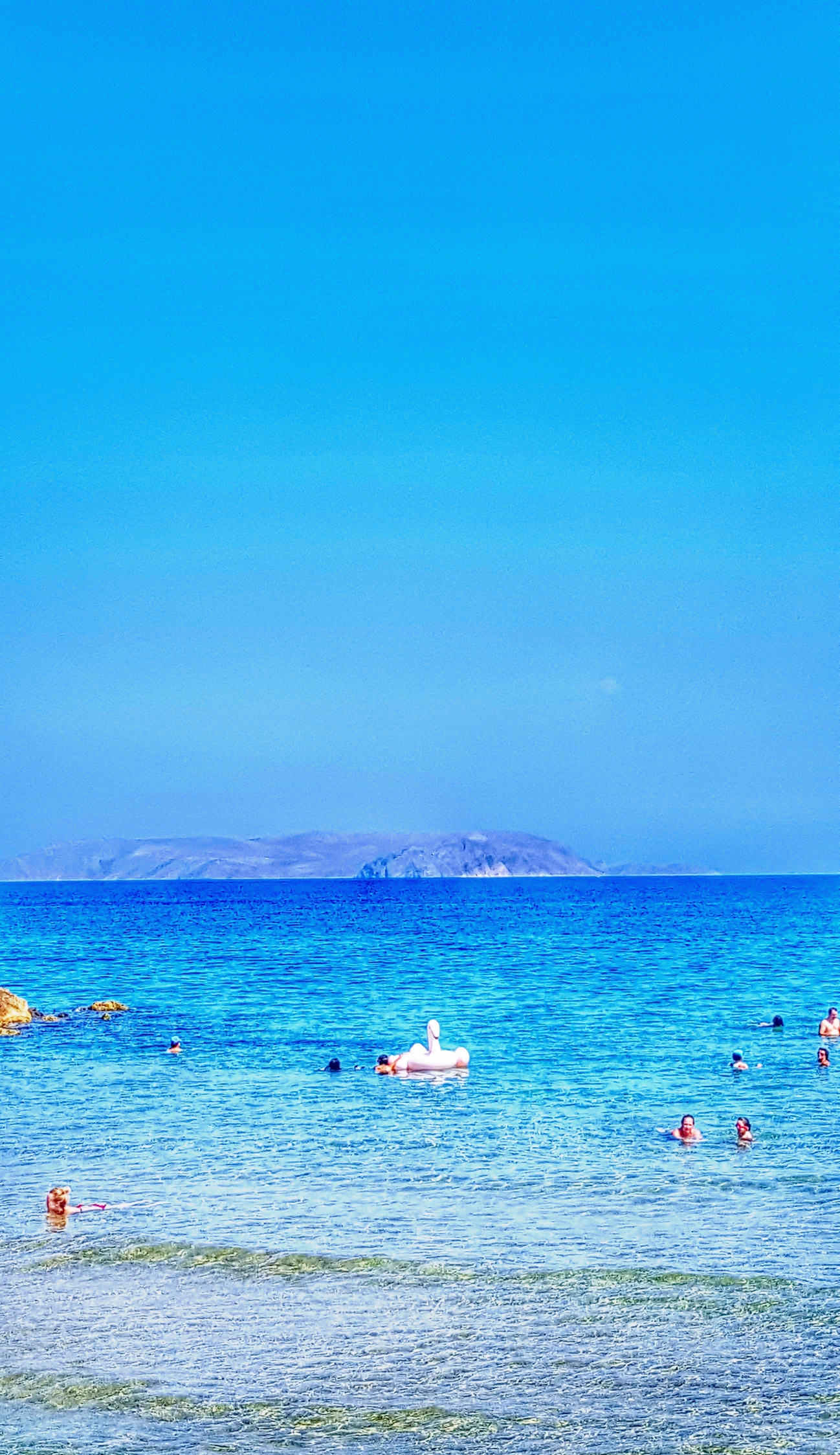 20190818_181951.jpg