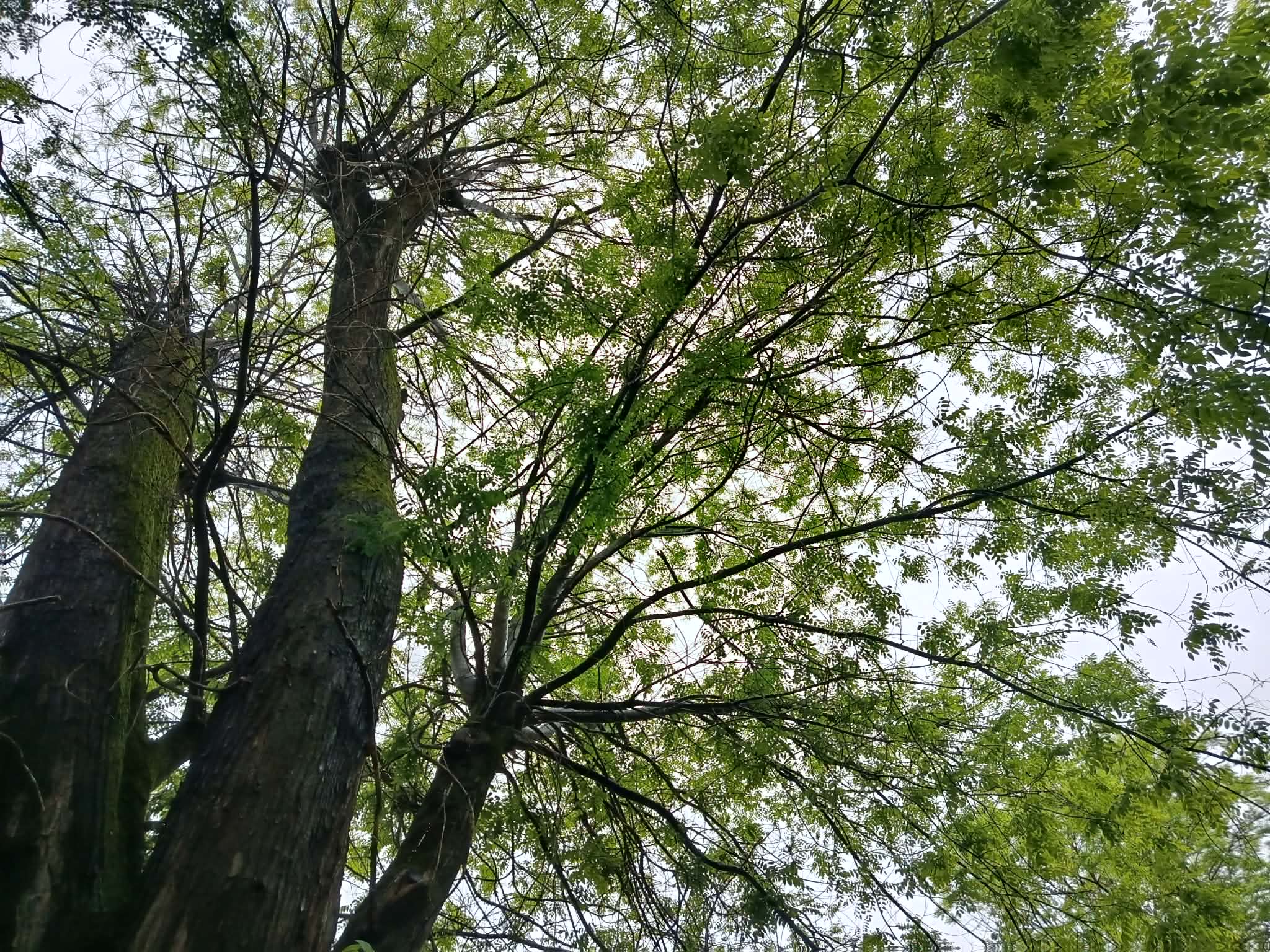 688328452_35663027623311673_4038531986759553207_n.jpg