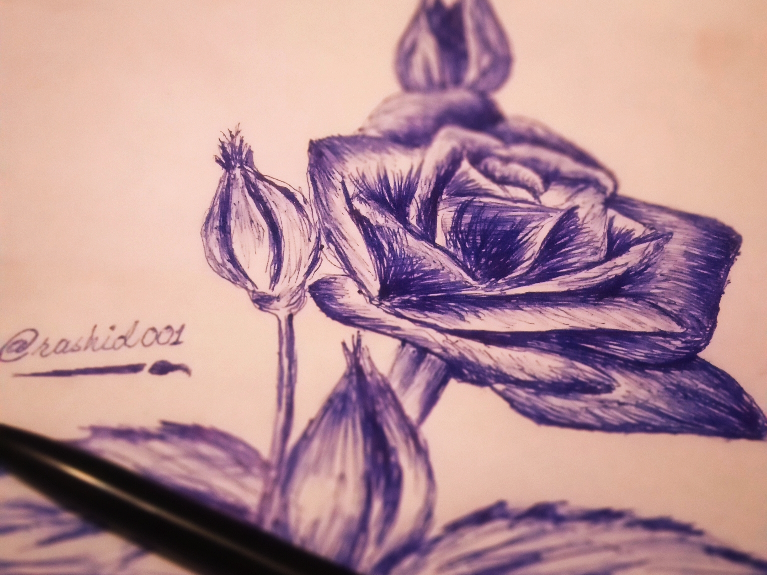 My attempt to draw a Pansy flower using a ballpoint pen (tips and criticism  please) : r/learntodraw