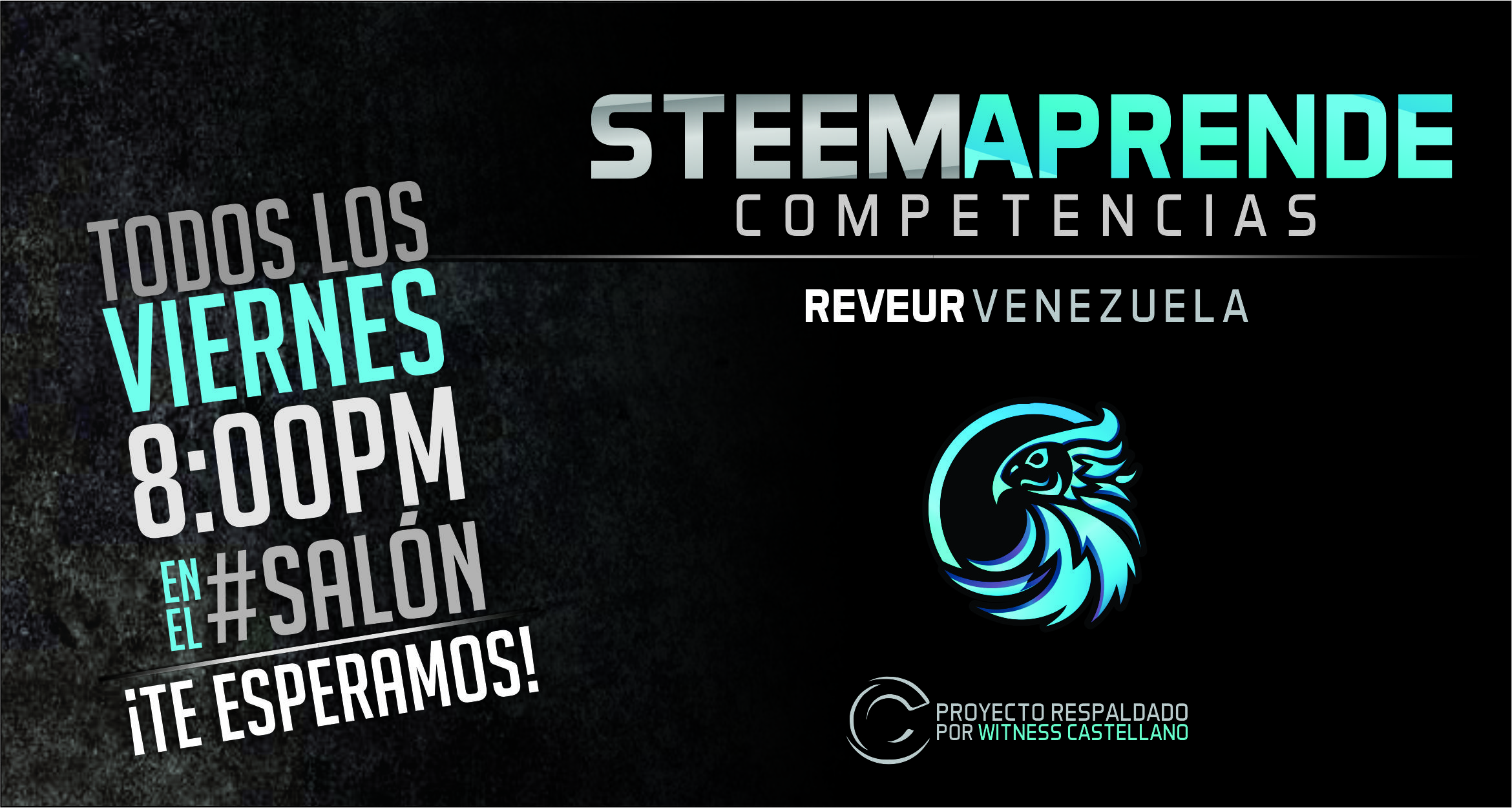 STEEM%20COMPETENCIAS.jpg