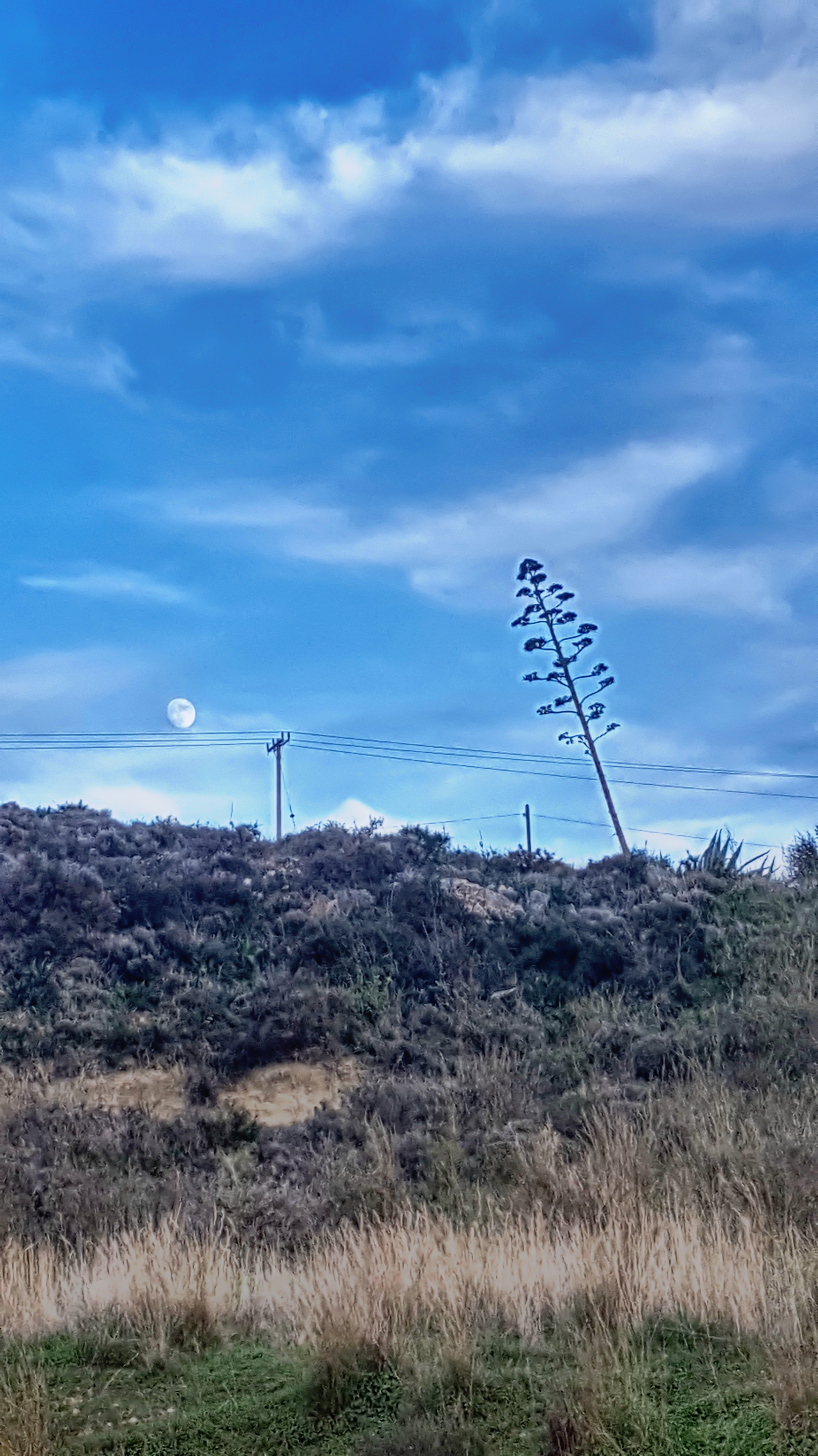 20191209_162811.jpg