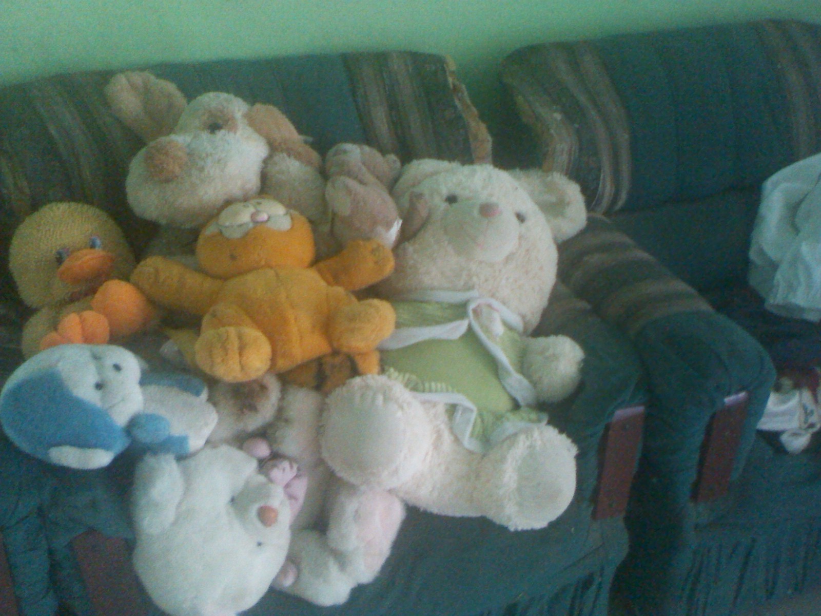 IMG_20201006_093925.jpg