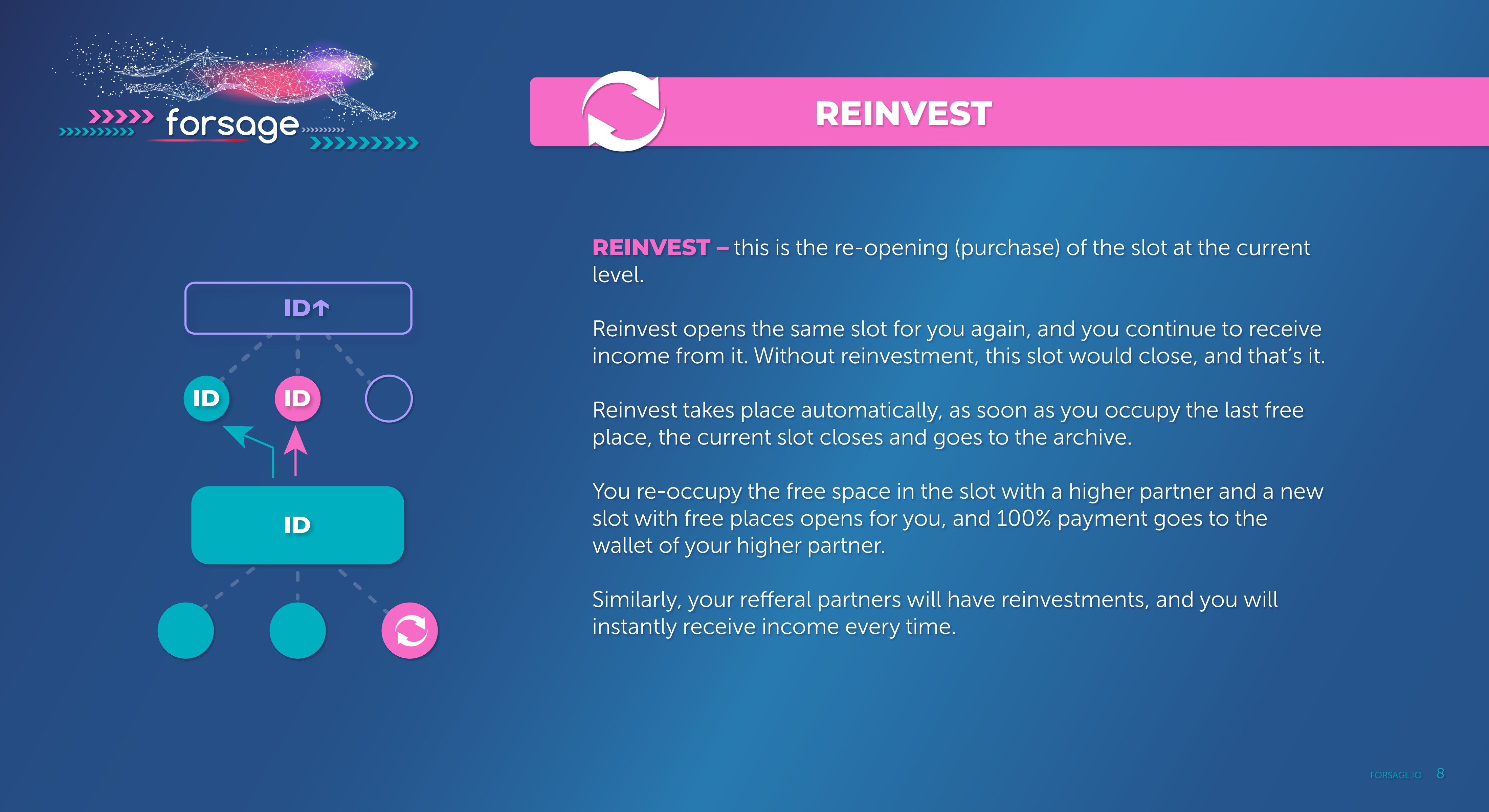 Page 8 (quality=100).jpg