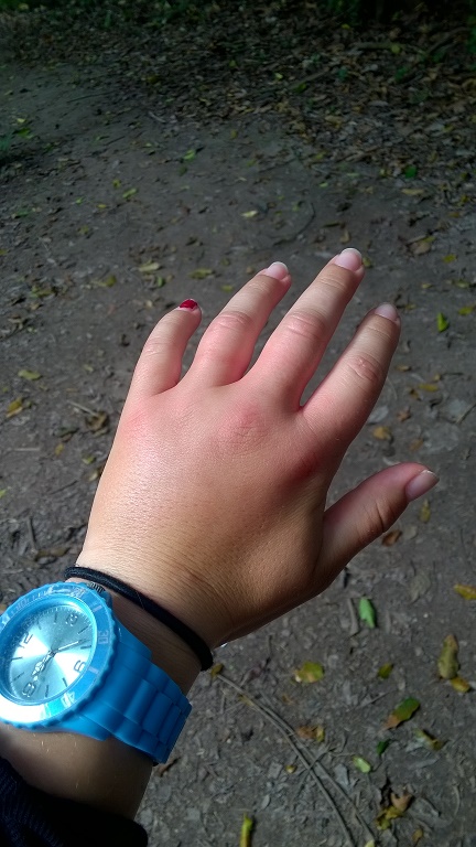 WP_20180302_020.jpg