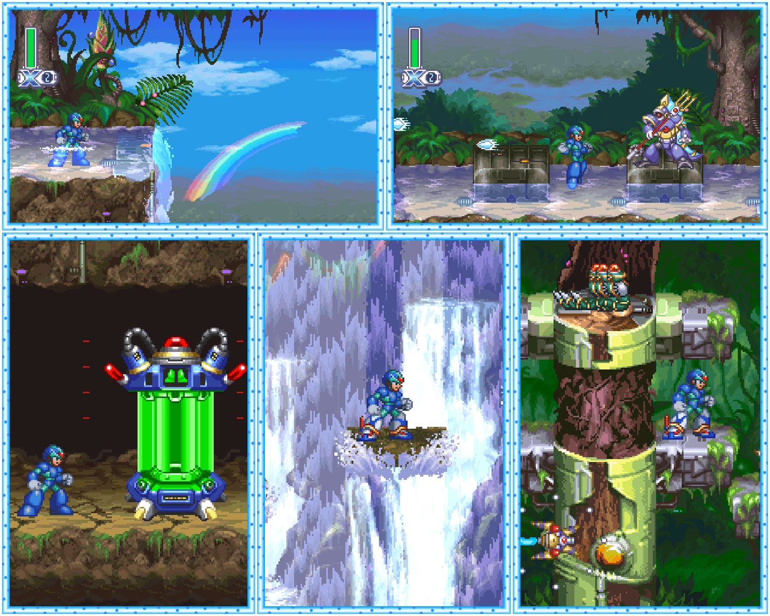 Jungla.jpg
