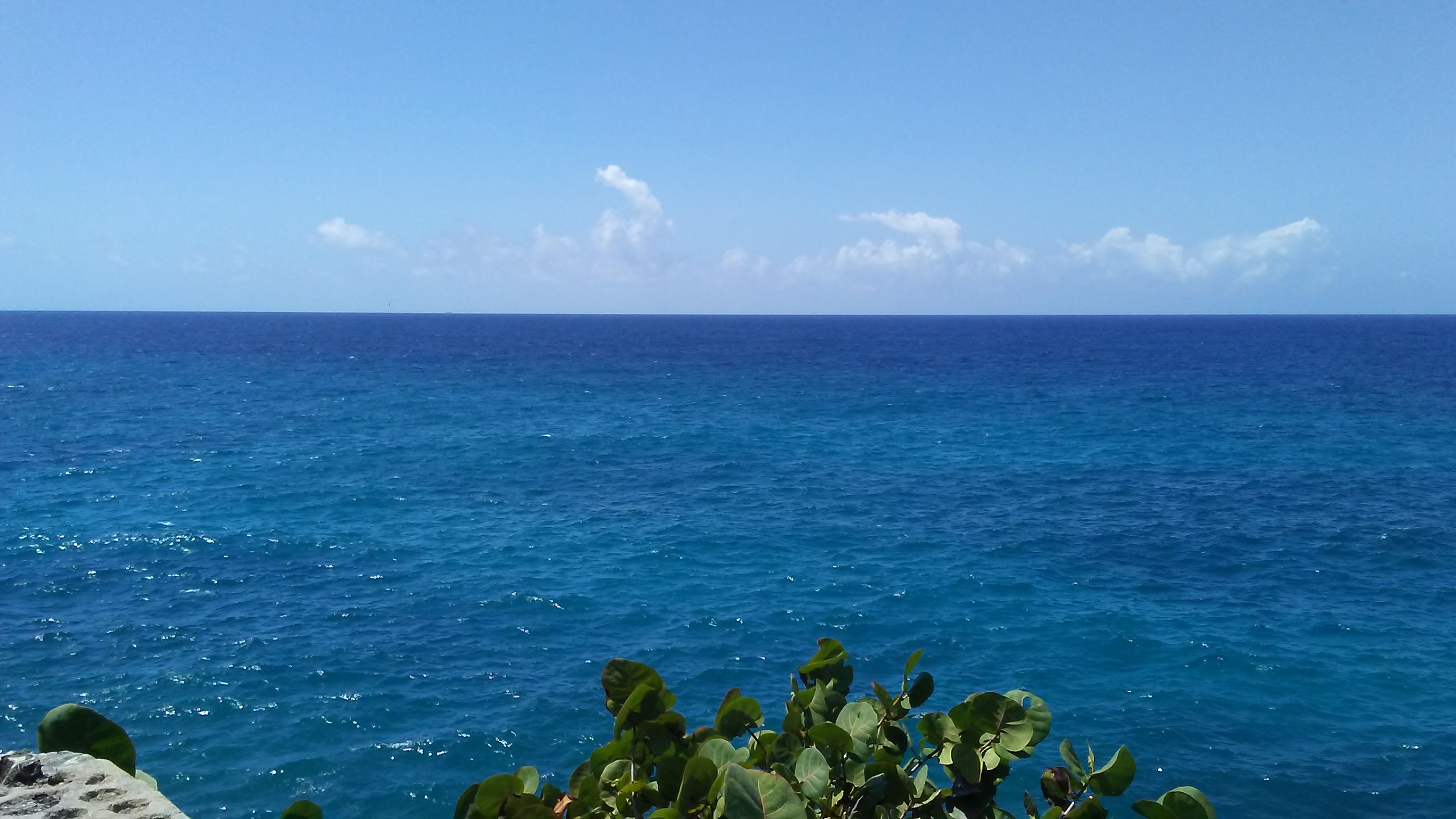 IMG-20200427-WA0141.jpeg