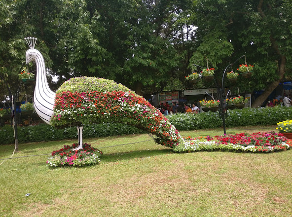 IMG_20190813_130313.jpg