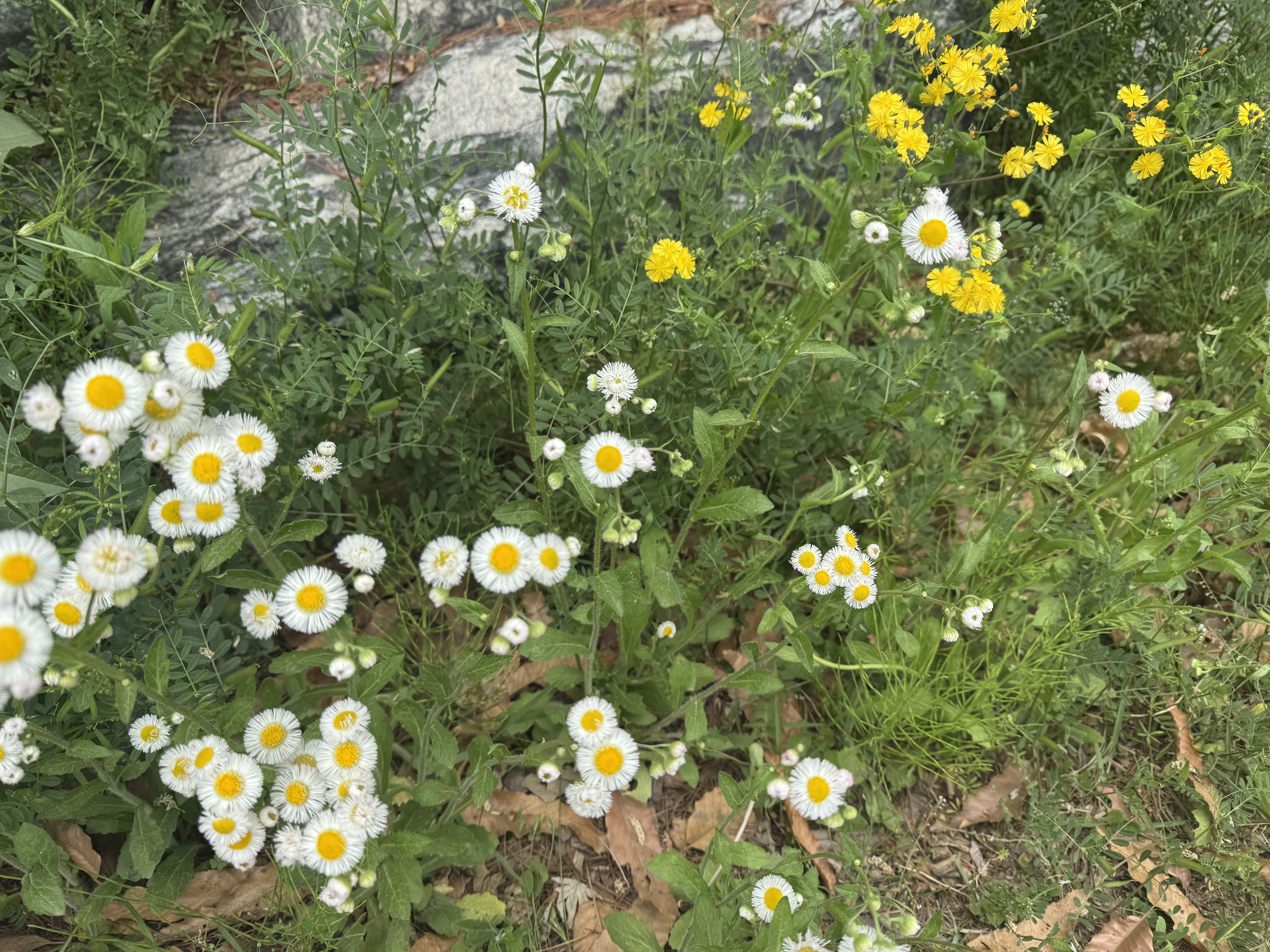 KakaoTalk_20260504_011624596.jpg