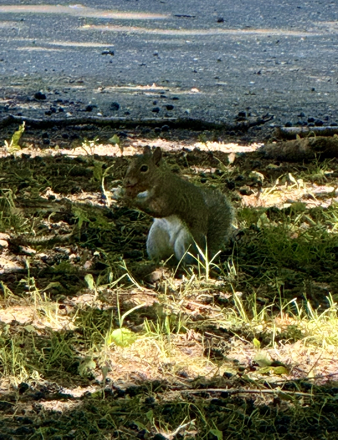 IMG_8292.jpg