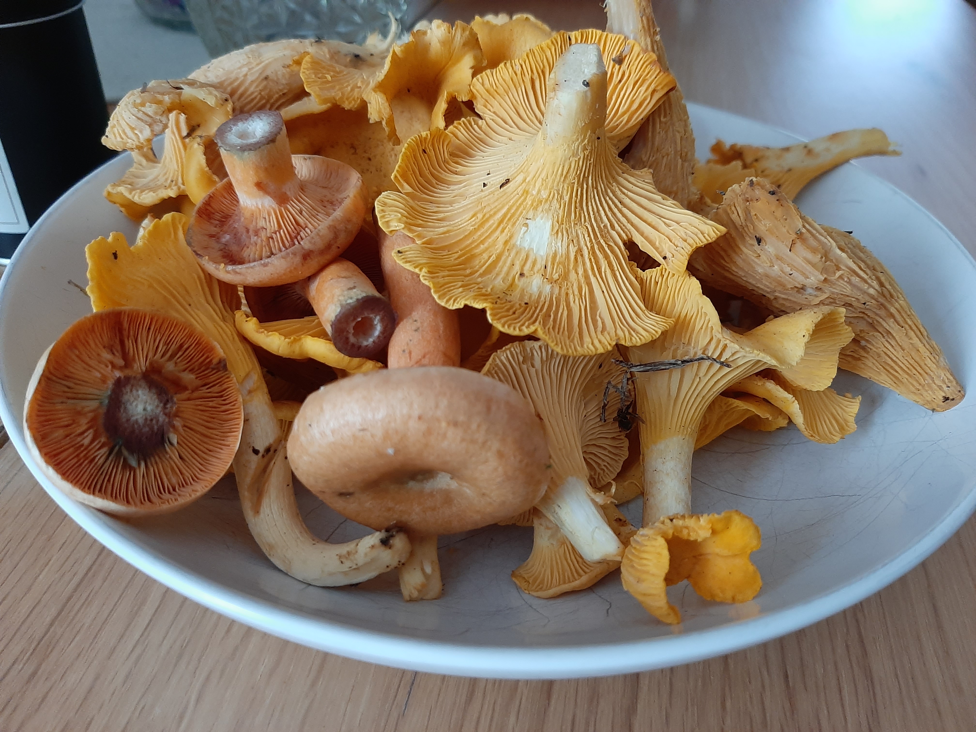 20260917_150128.jpg