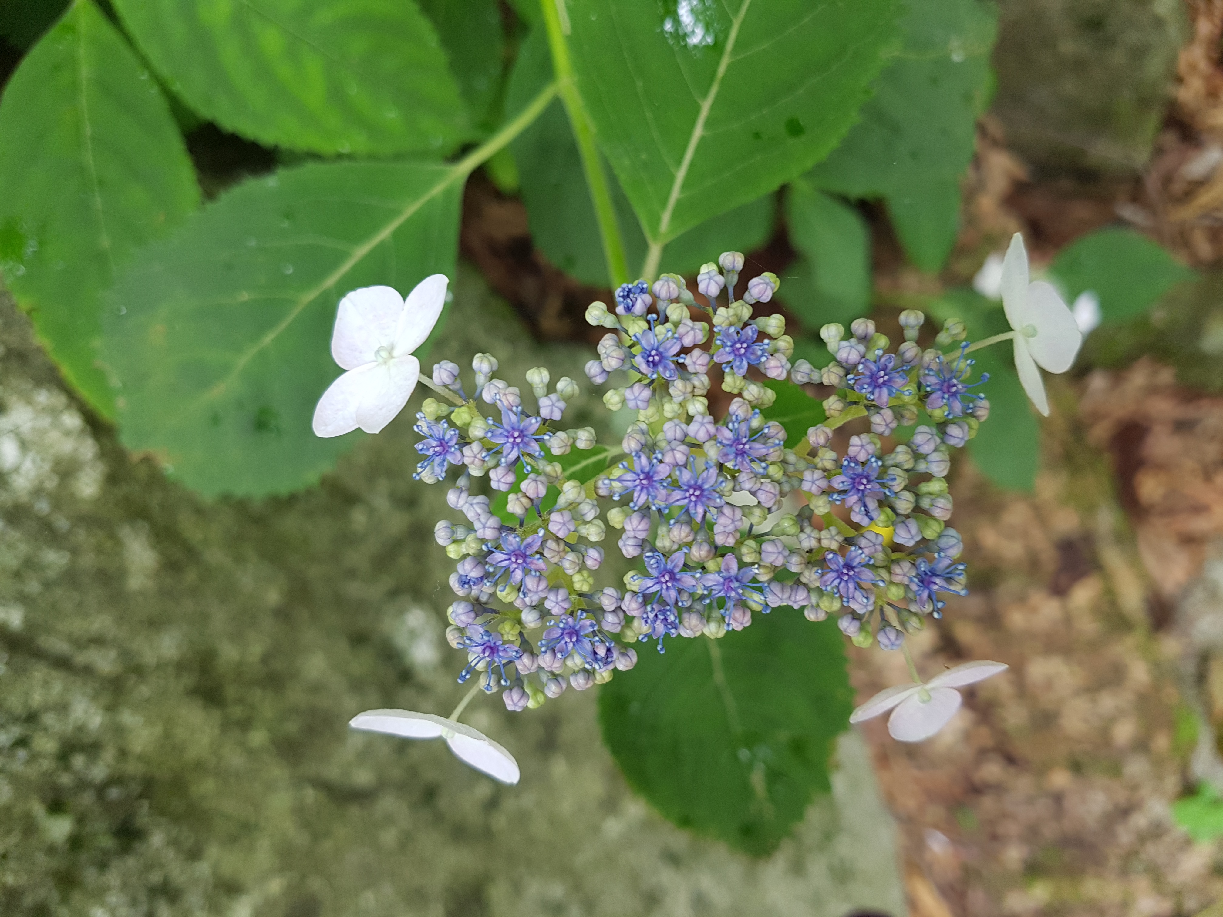 20190714_123848.jpg