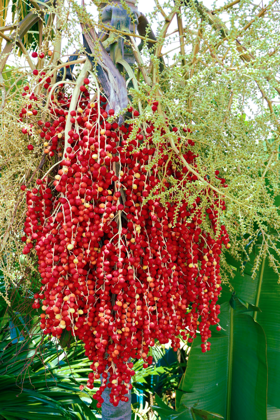 LRM_EXPORT_20180903_115413.jpg
