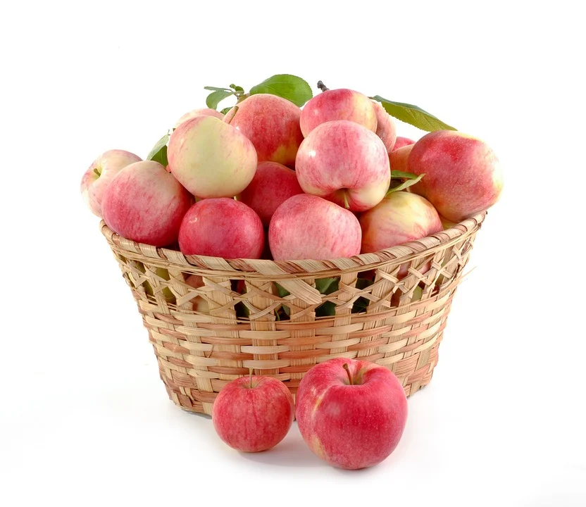 444.webp