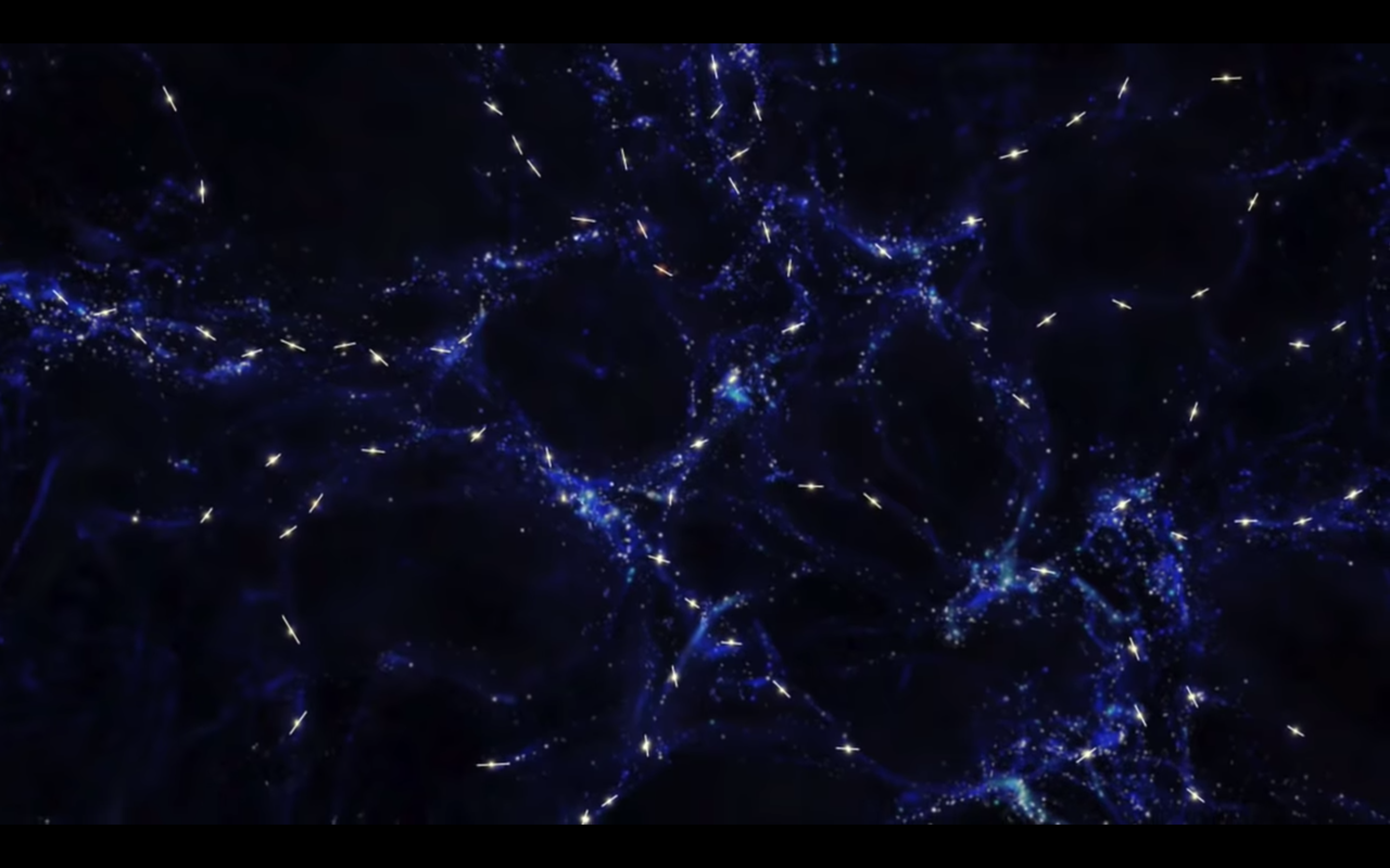 Screen Shot 2019-04-21 at 1.41.42 AM.png