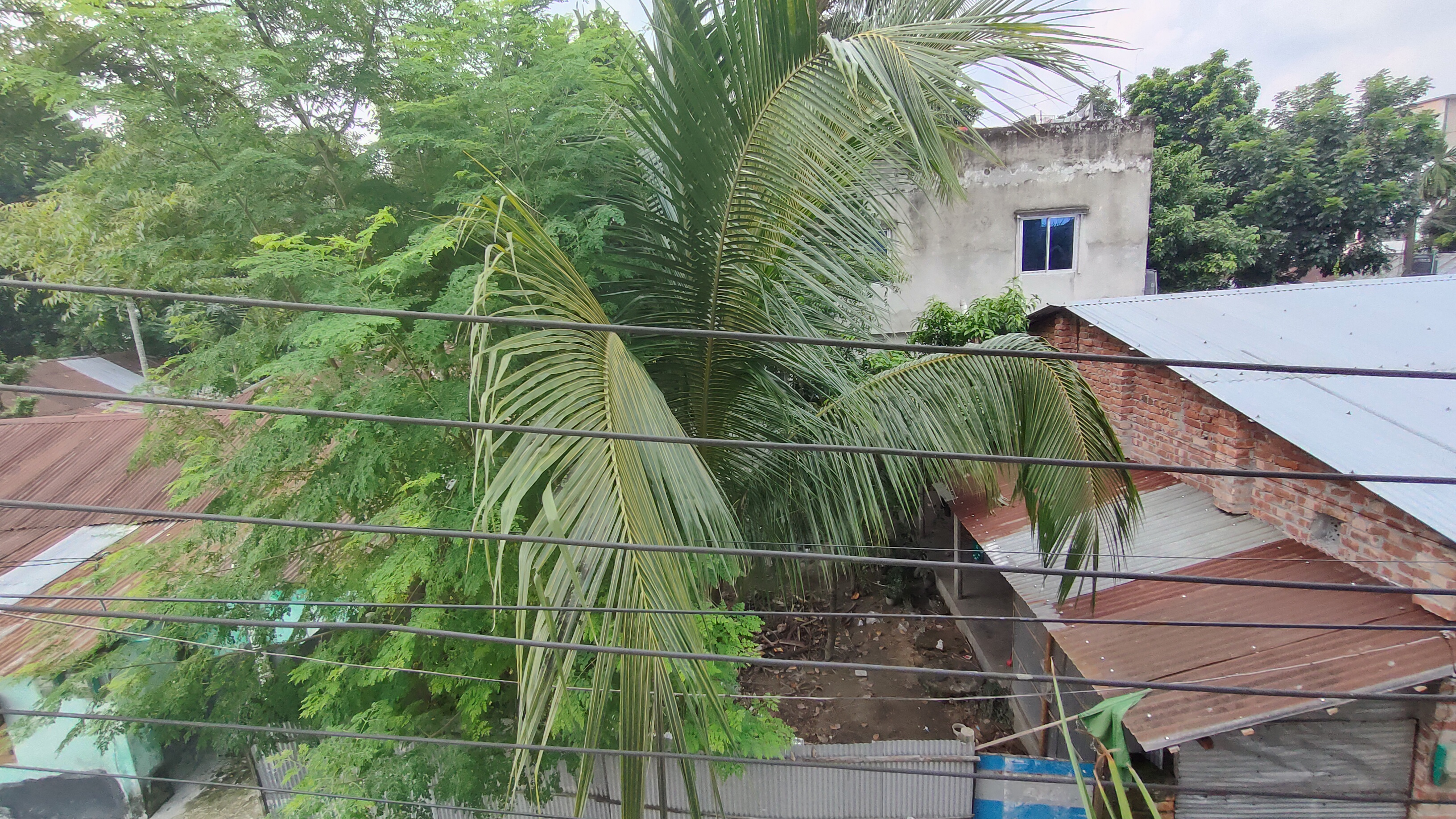 IMG20220918111129.jpg