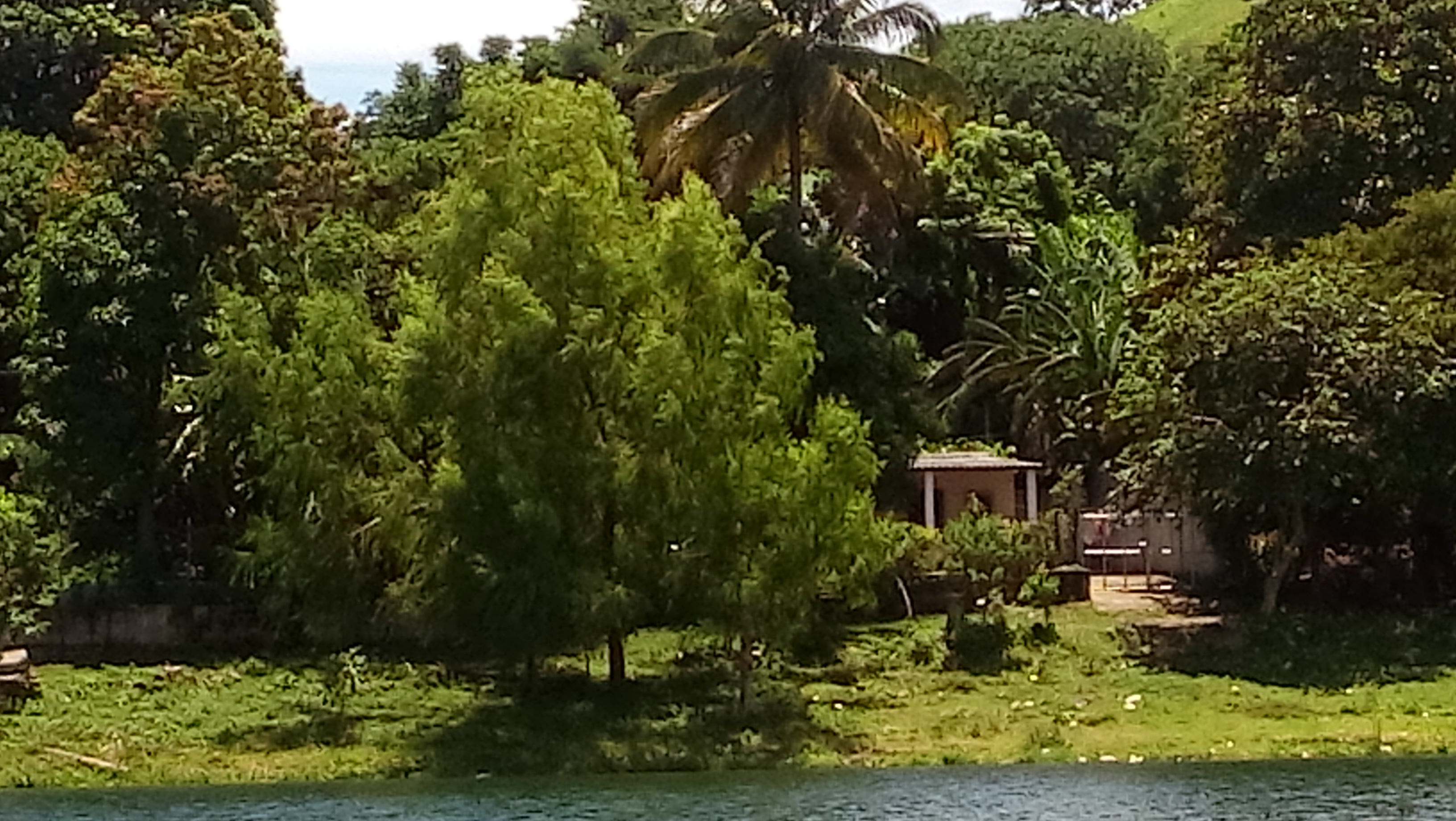 20160724_115825.jpg