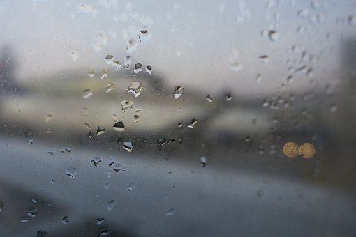 EF003489-EFF5-4E3F-8C32-3EBE79E62555.jpeg