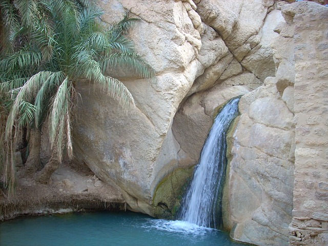 tunisia-81258_640.jpg