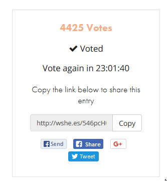 New vote for STEEM confirmed.jpg