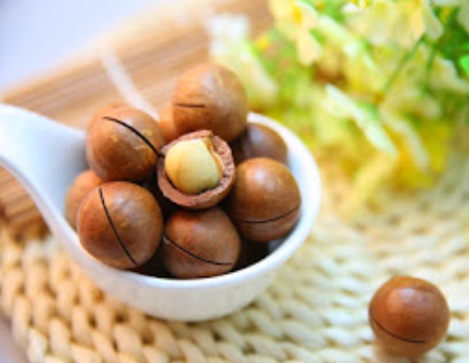 Macadamia warning.png