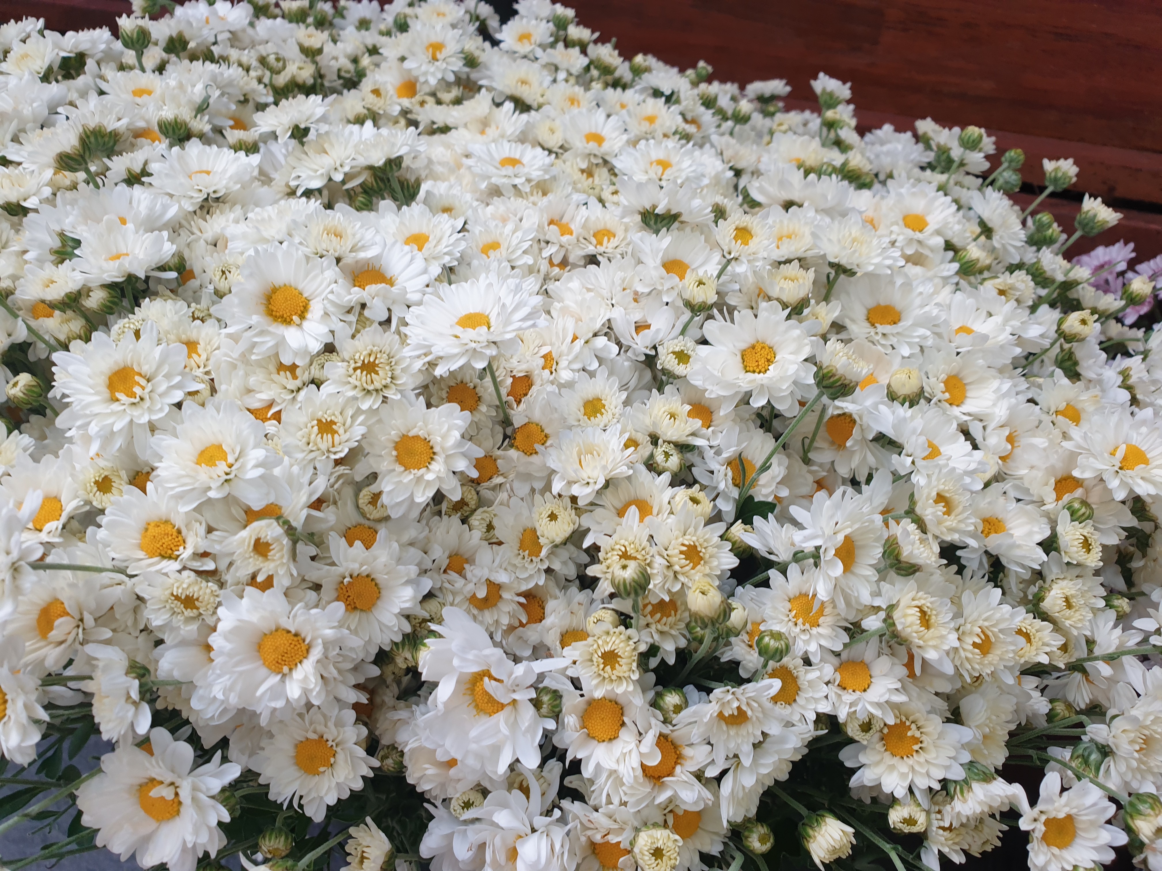 20201009_122406.jpg