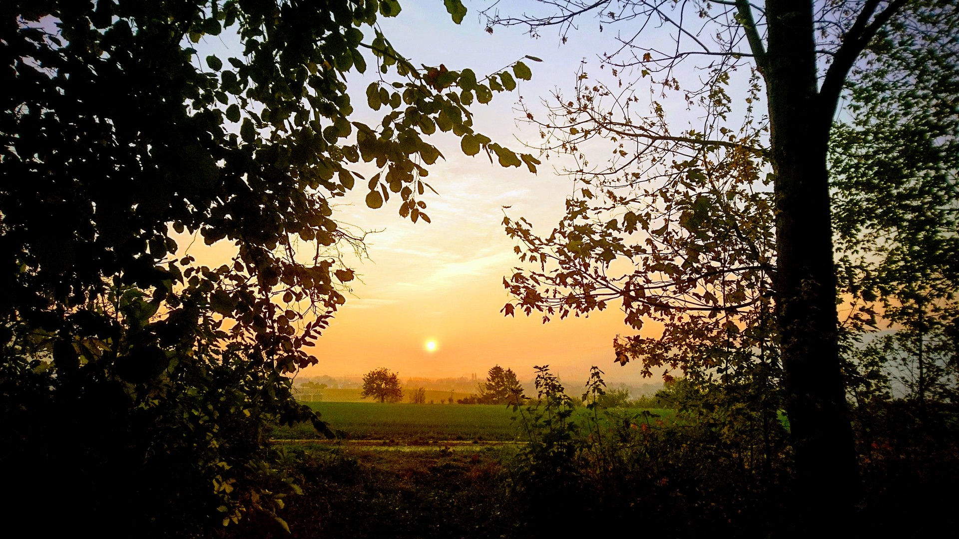 DSC_0085-EFFECTSed.jpg