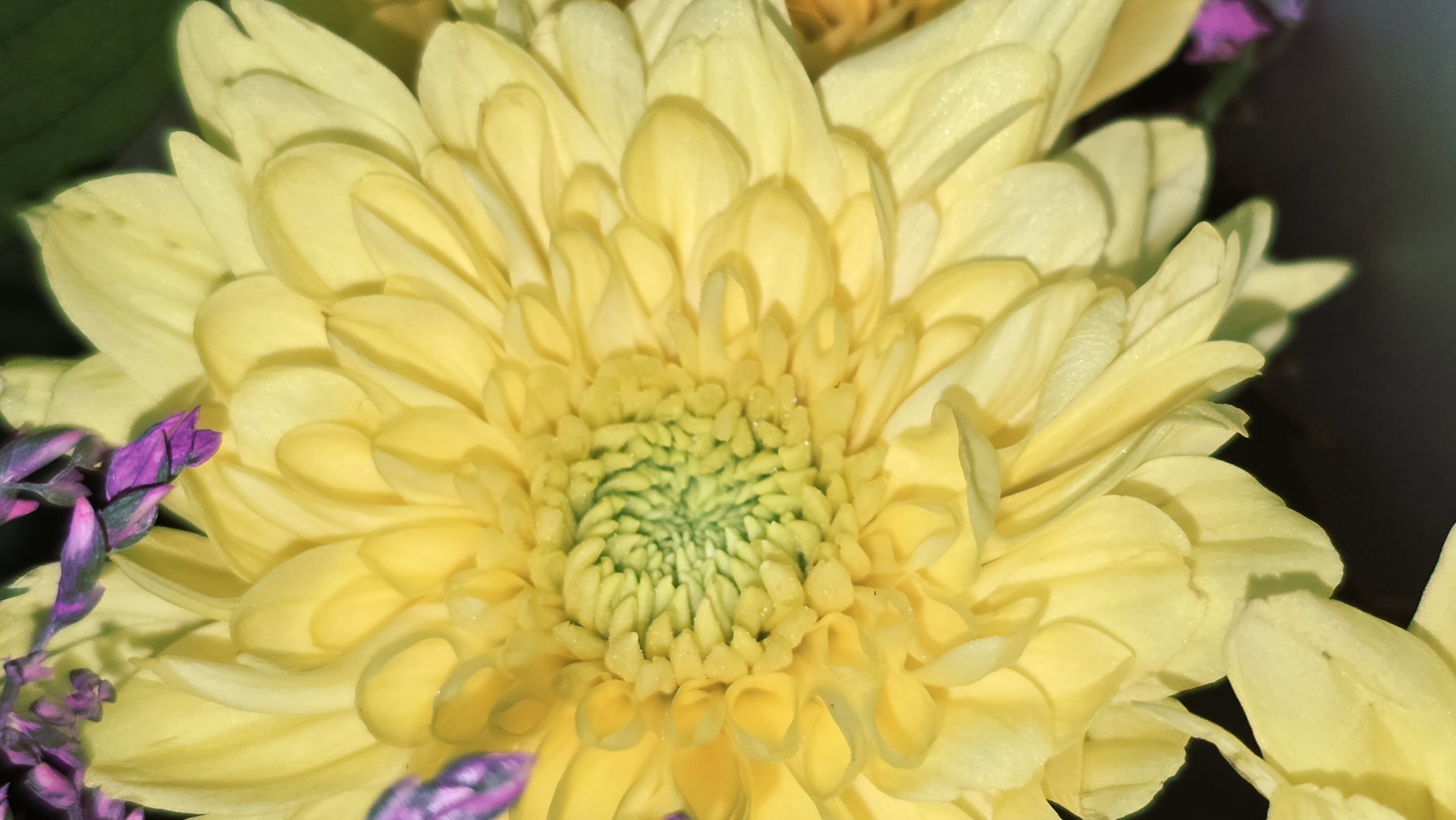 20250518_221155.jpg