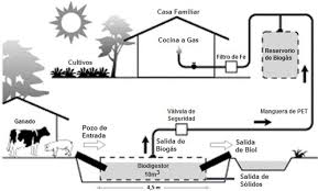 BIODIGETOR.jpg