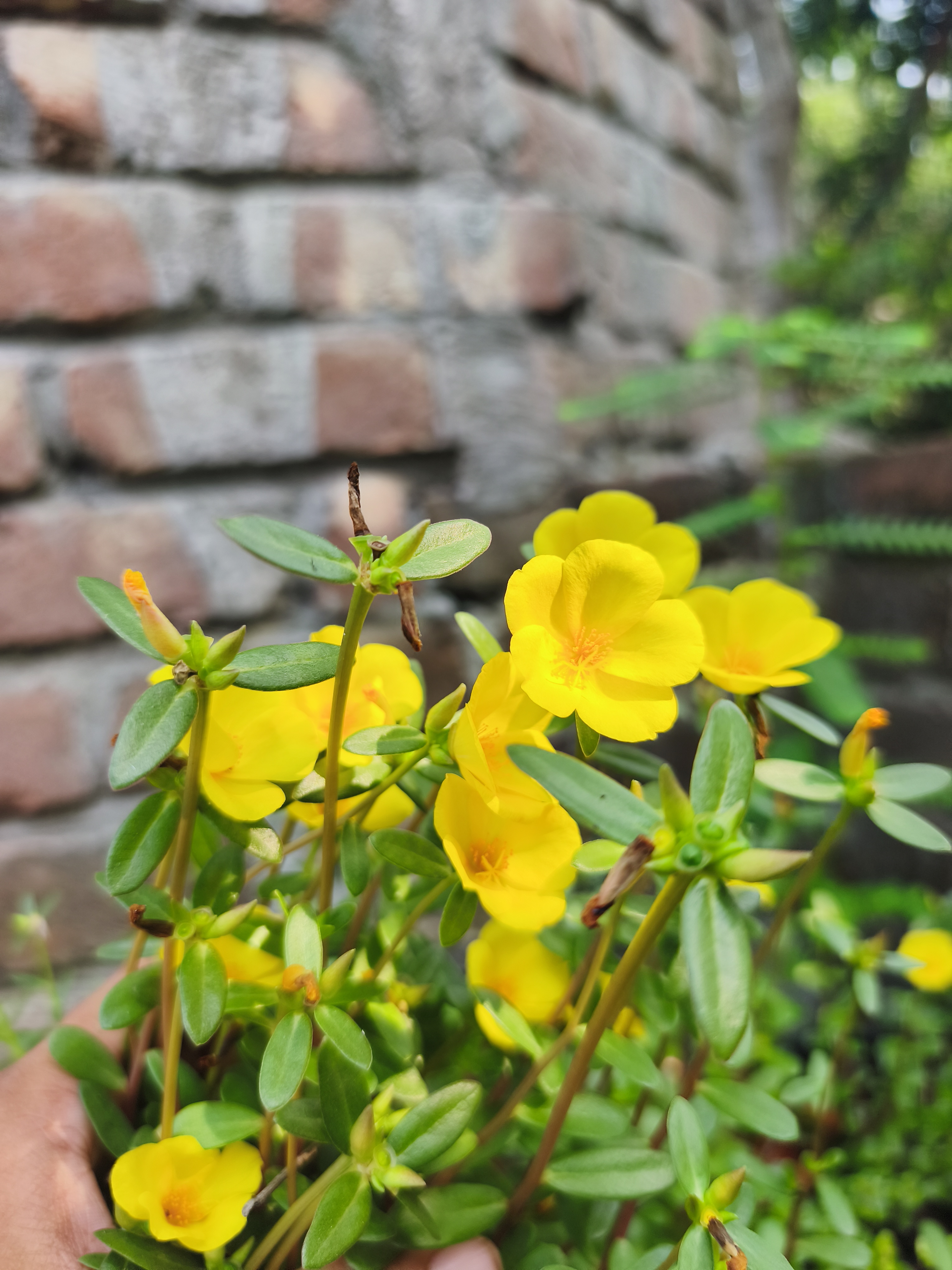 IMG_20260601_083524.jpg