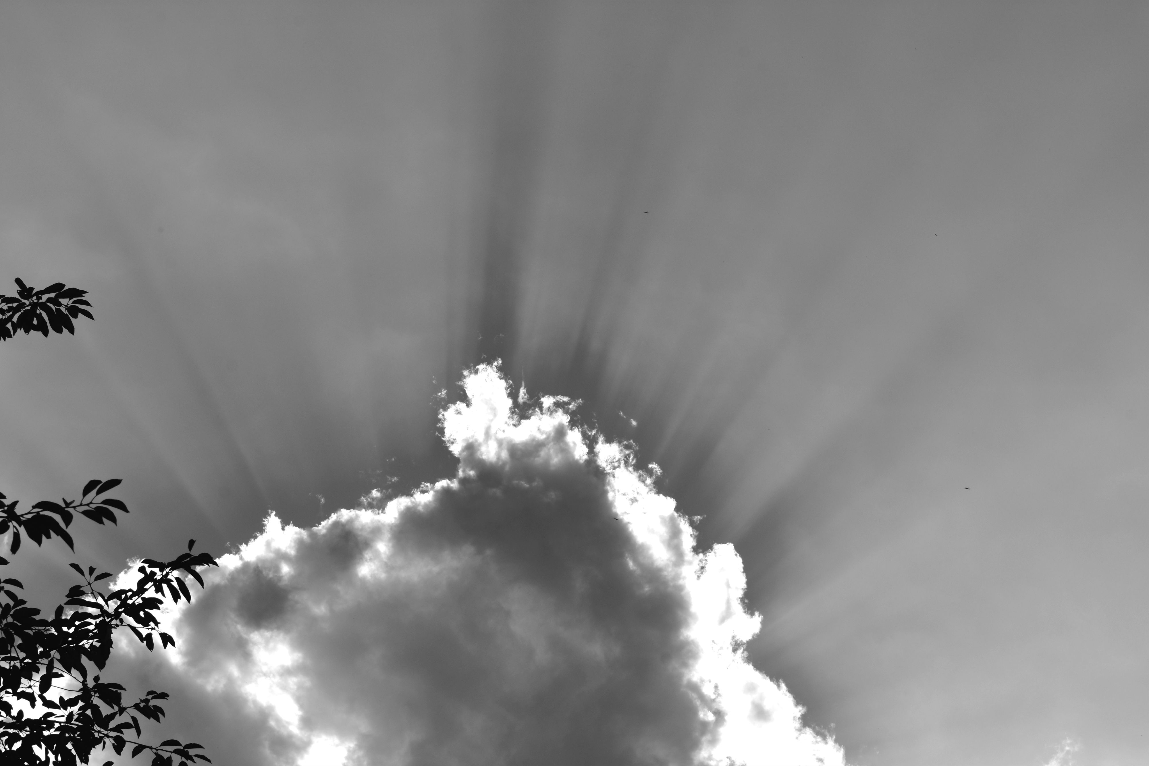 DSC_1078.jpg