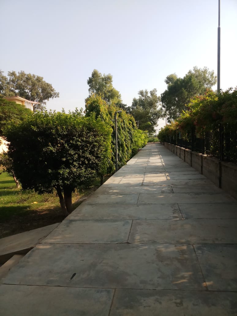 IMG-20191008-WA0062.jpg