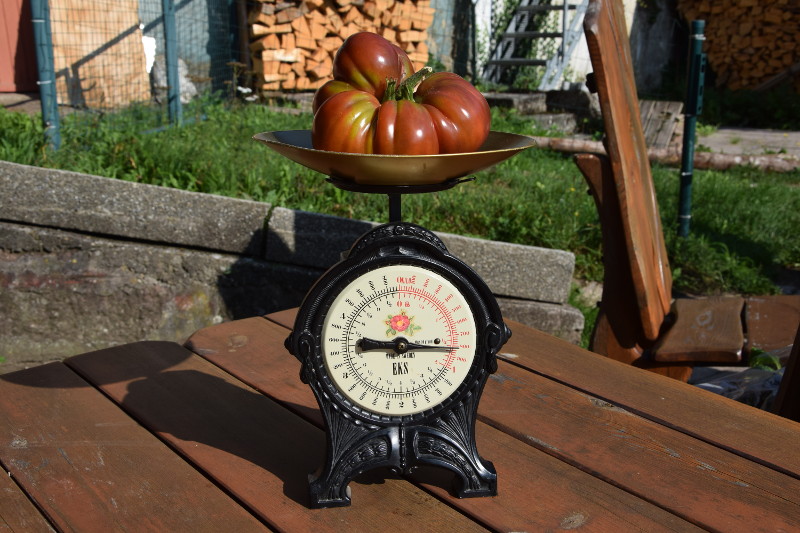 DSC_0022_800.JPG