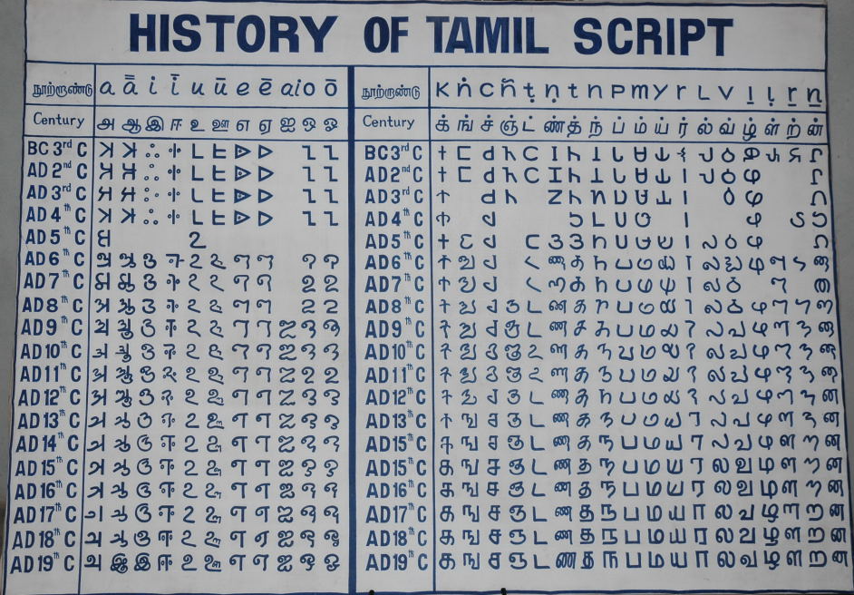 History_of_Tamil_script.jpg