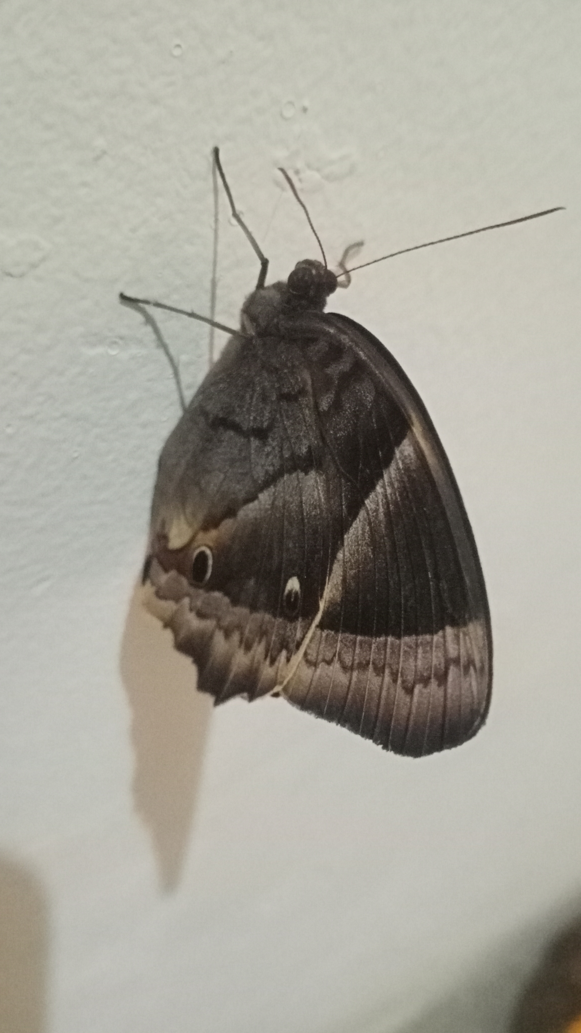 IMG20250531181959.jpg