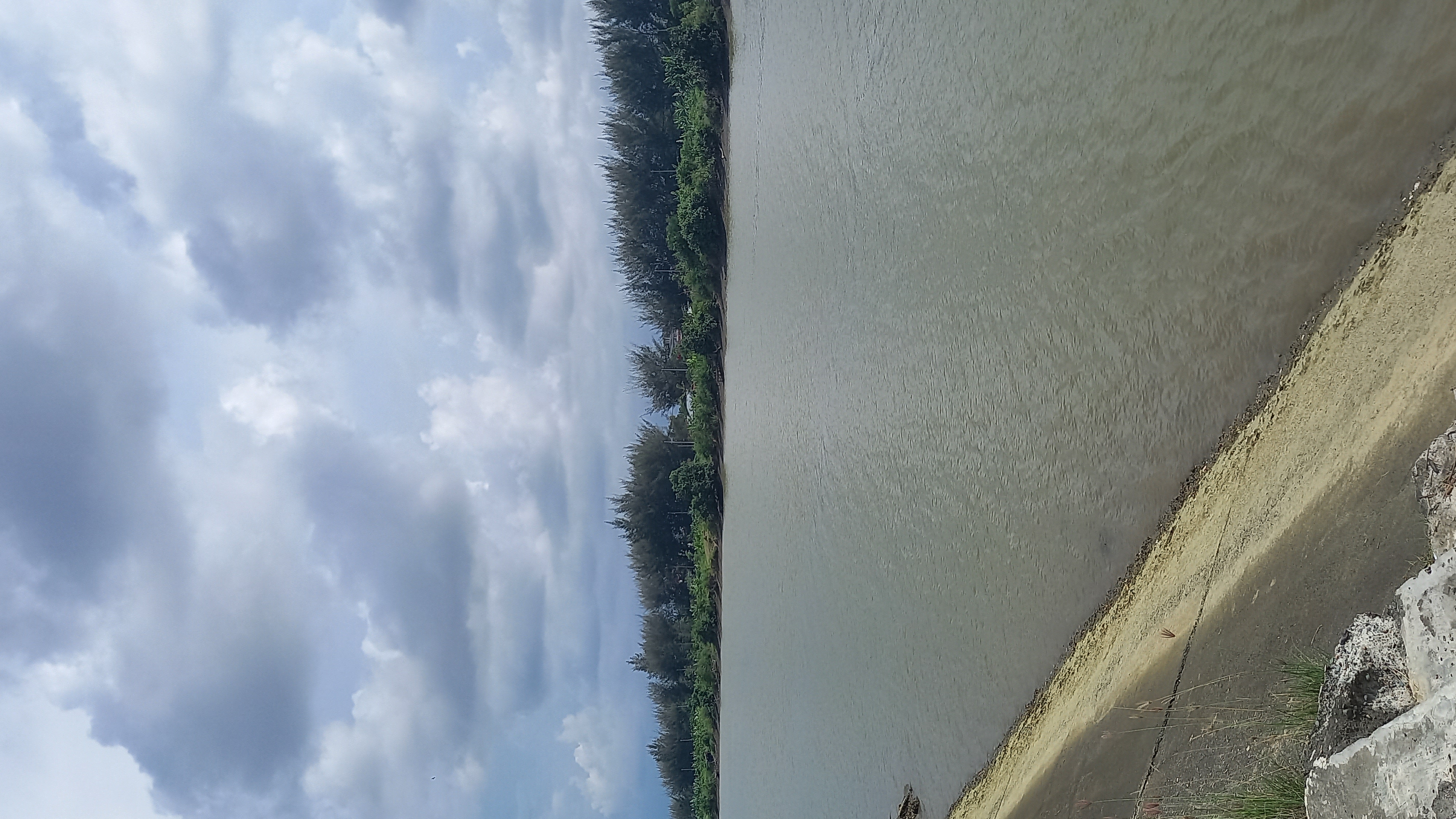 20220329_153350.jpg