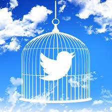 twitter1.jpg