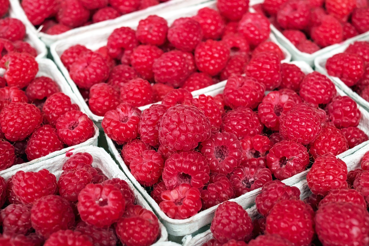 raspberry-1465988_1280.jpg