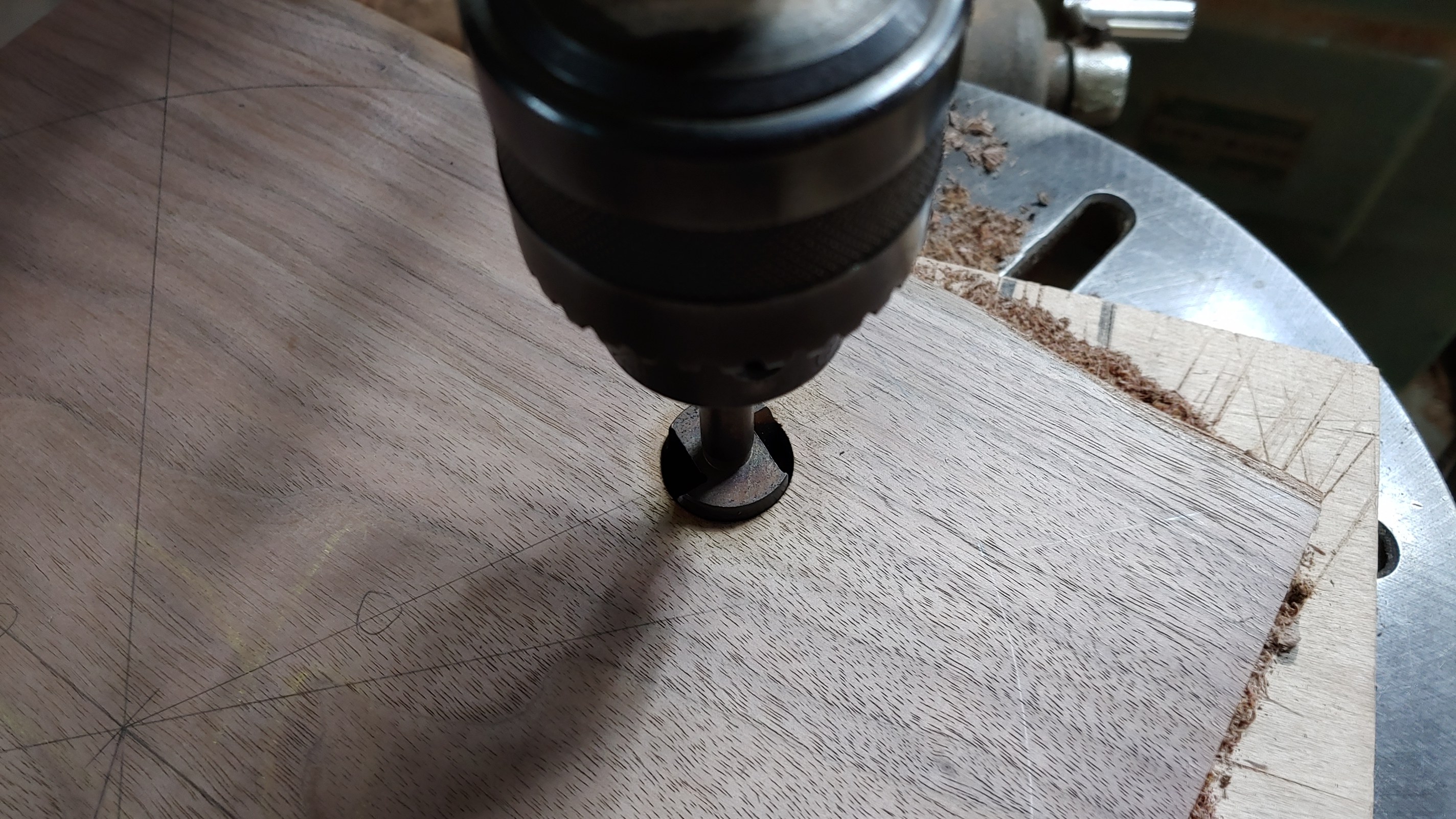 20190815_124257.jpg
