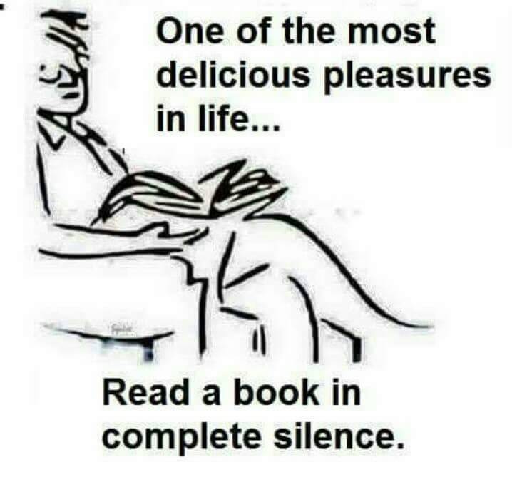 rgQwSRE.jpg