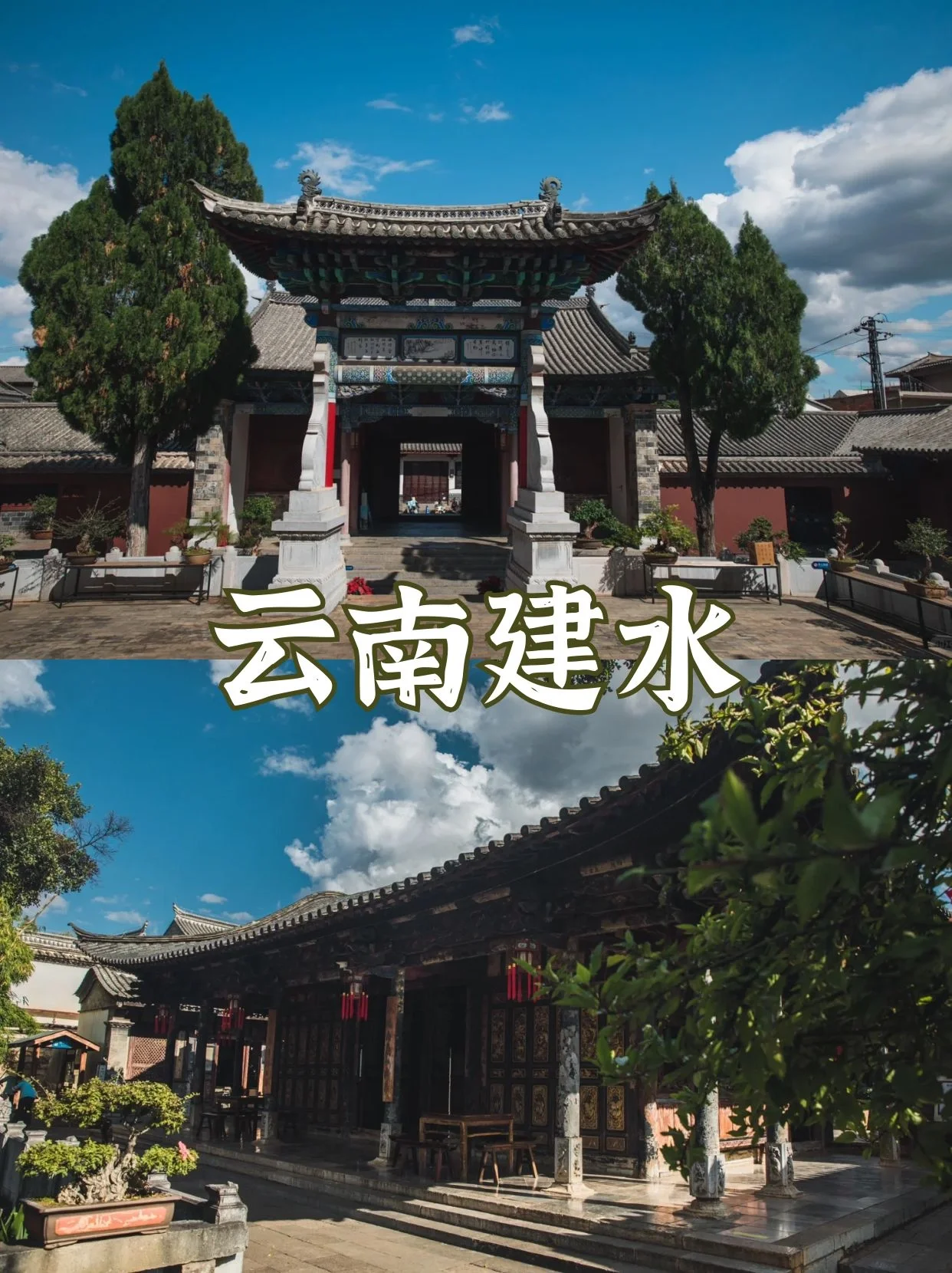 13357185924064144.webp