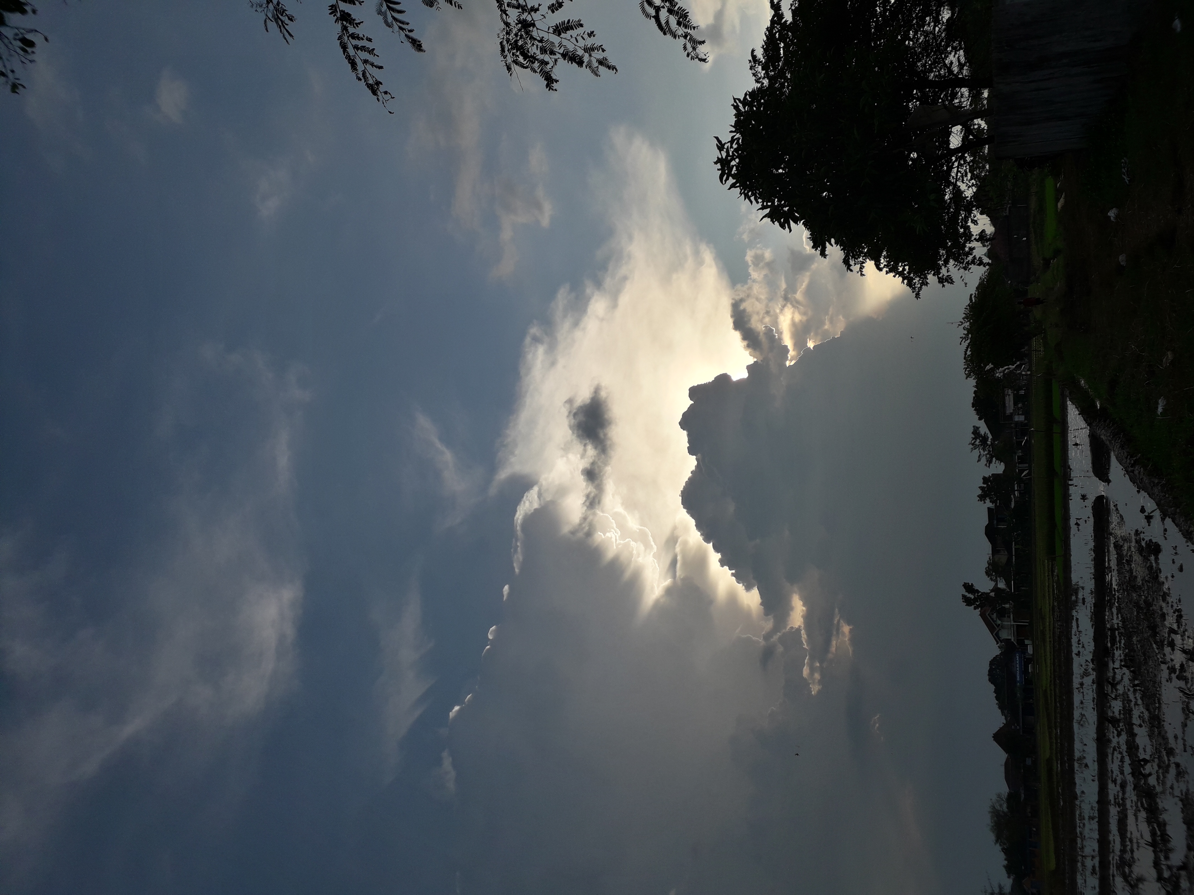 20210623_161936.jpg
