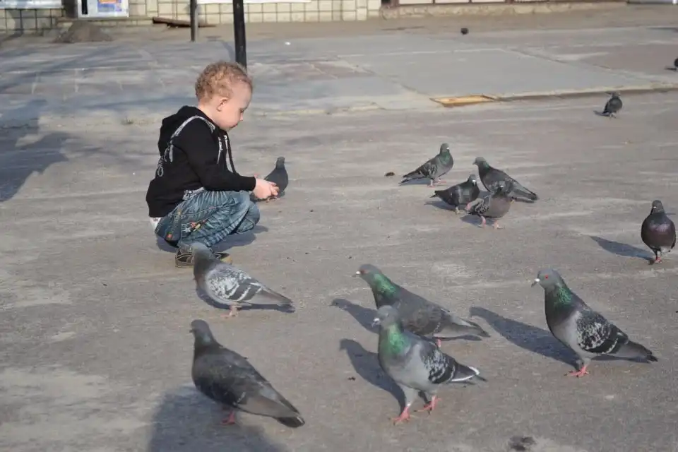 По крышам бегать голубей гонять. Дети гоняют голубей. Дети гоняют птиц. Мальчик гоняет голубей. Мальчик с голубем.